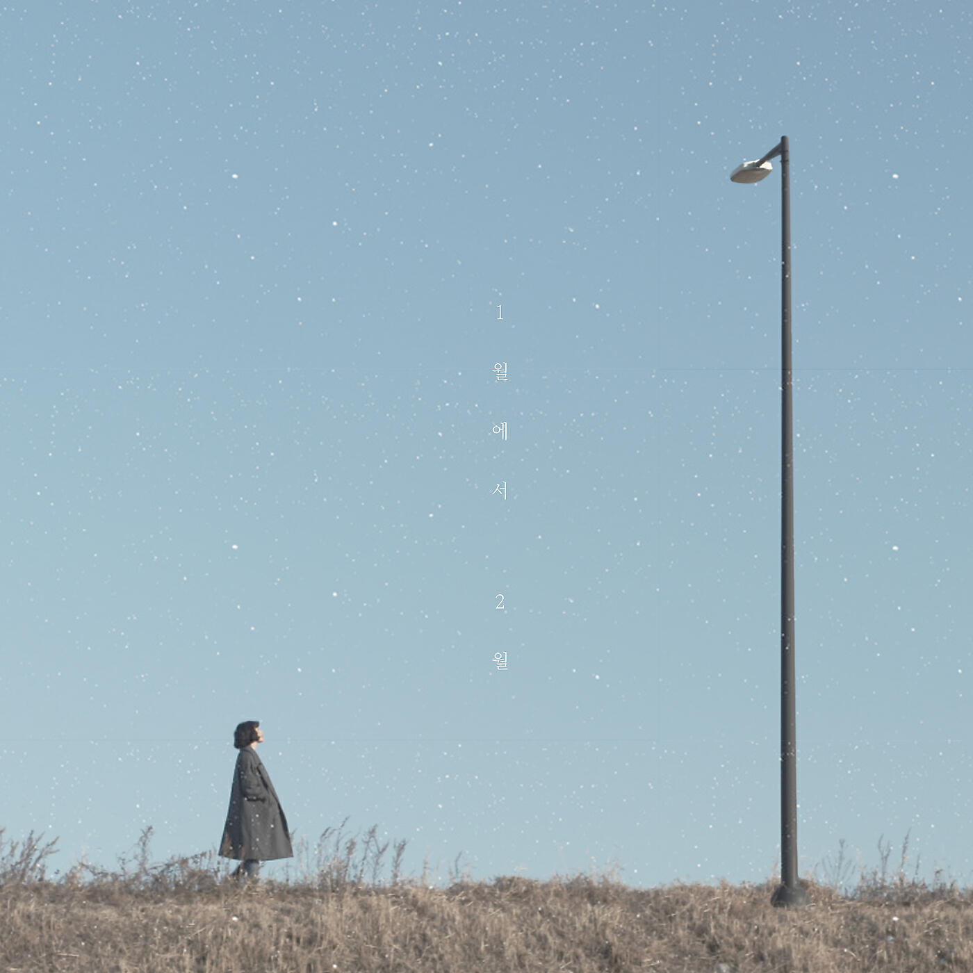 Релиз January to Febuary