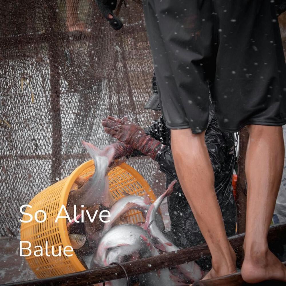 Релиз So Alive (Fischer!Mans Party)