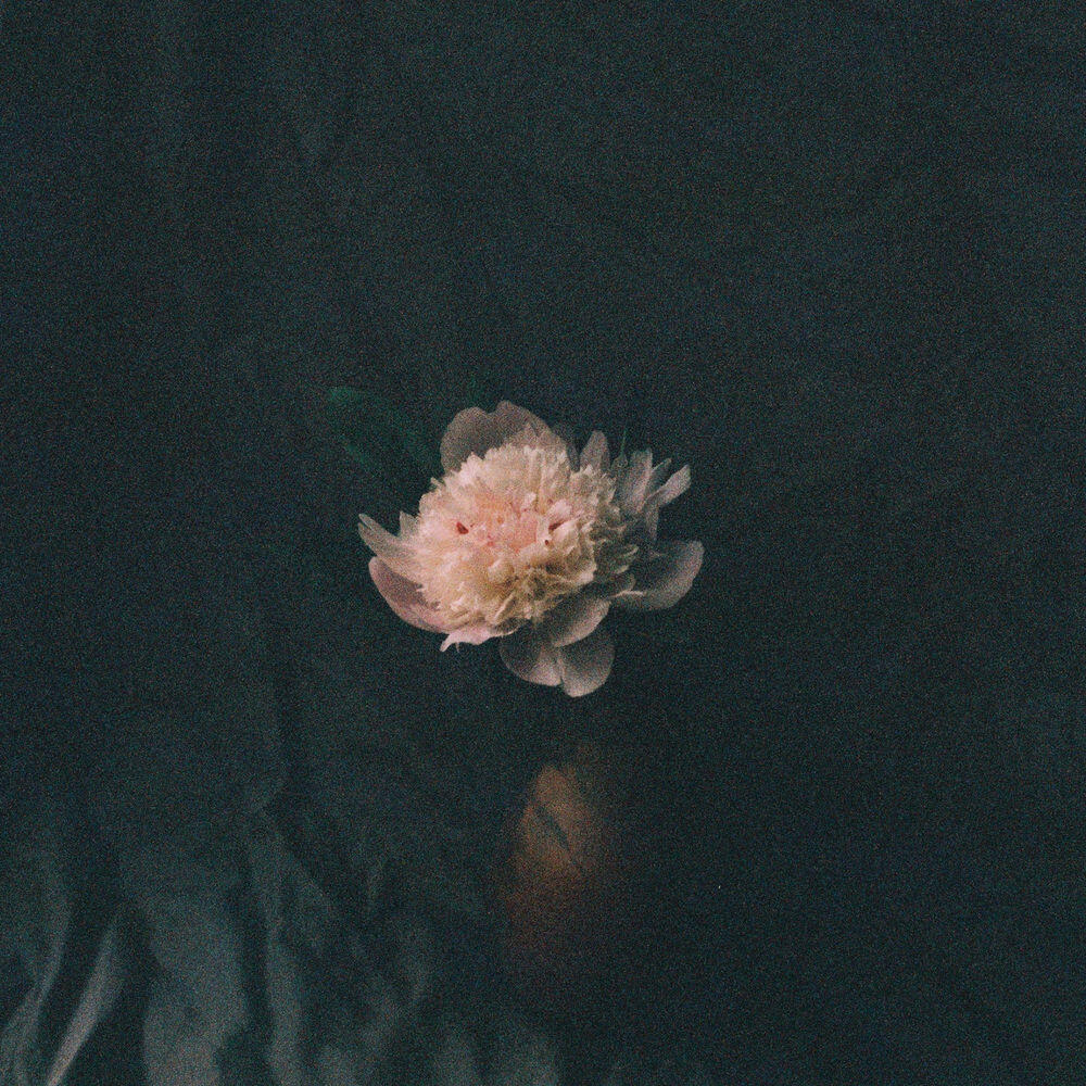 Релиз Bliss