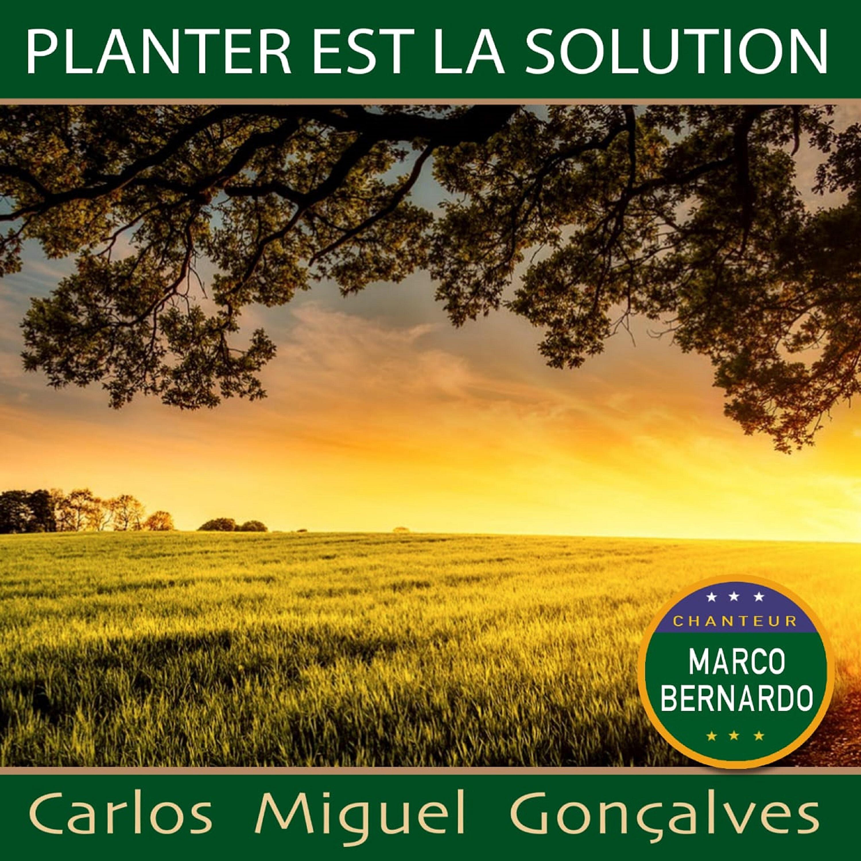 Релиз Planter est la solution