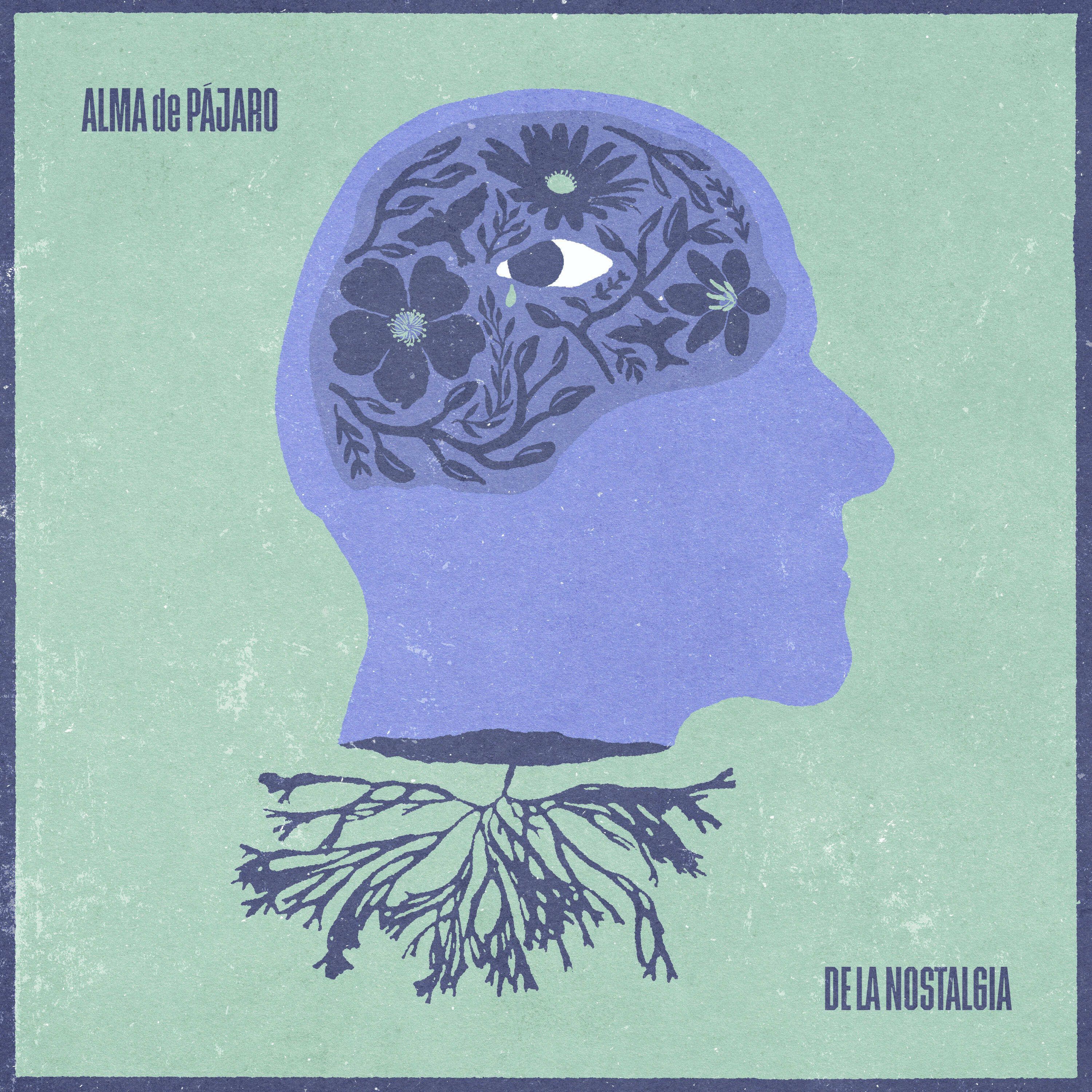 Alma de Pájaro