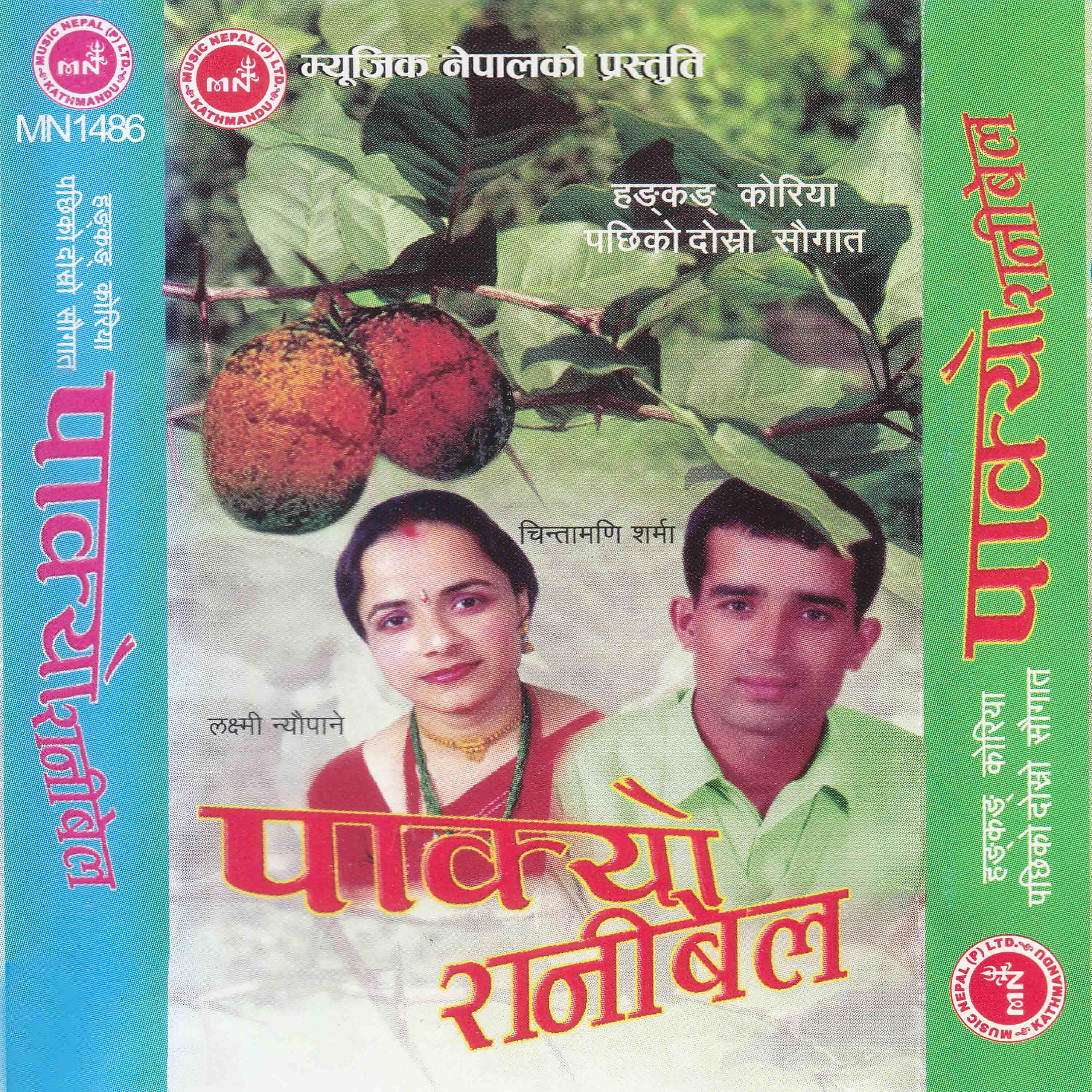 Chintamani Sharma