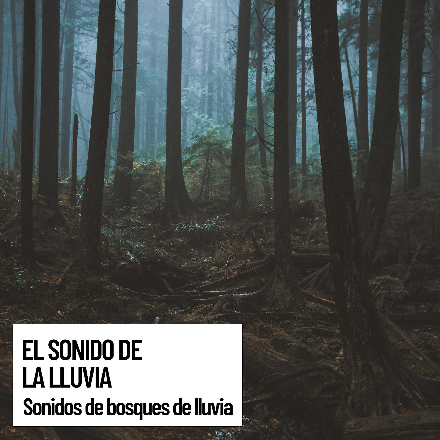 Релиз El sonido de la lluvia: Sonidos de bosques de lluvia