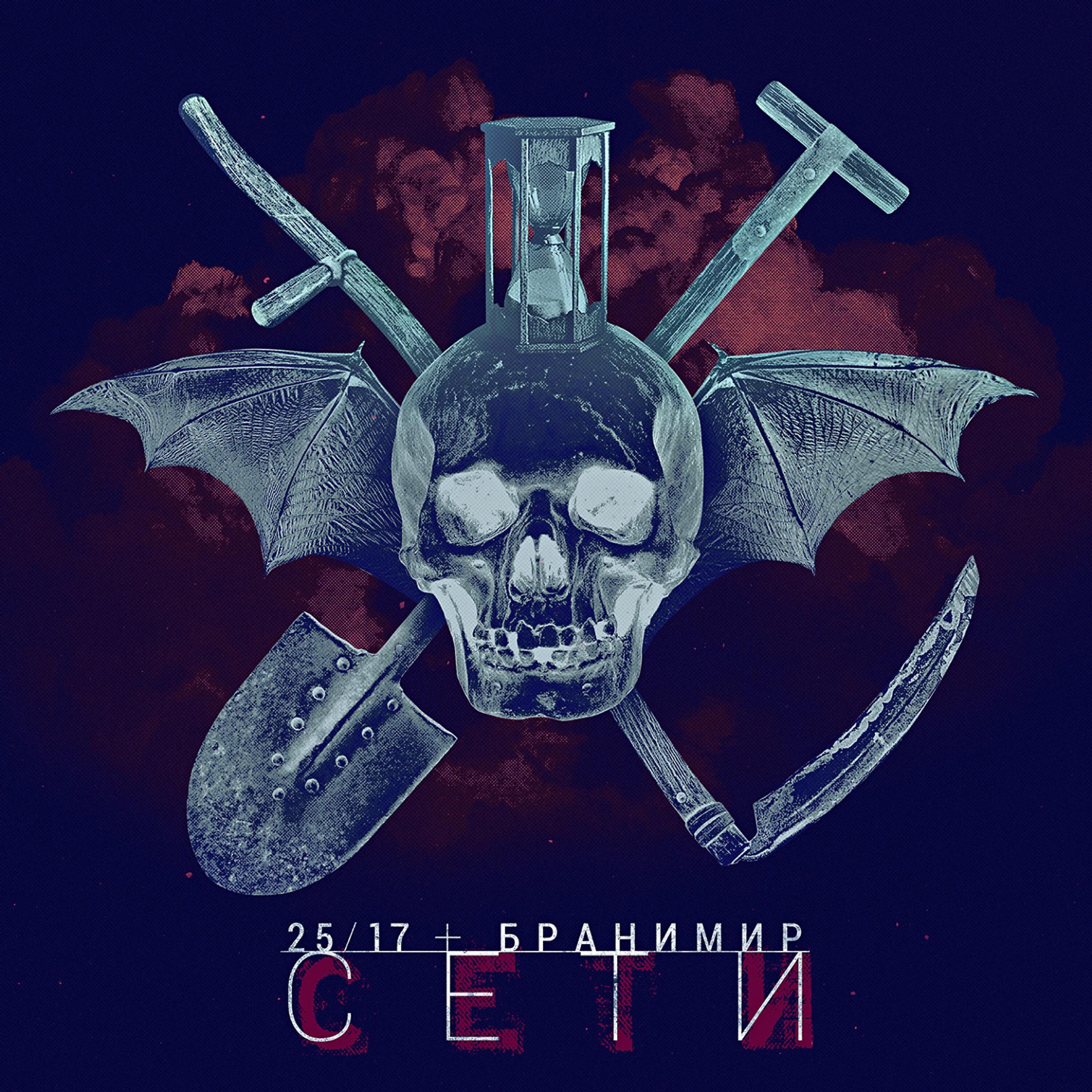 25/17, Бранимир - Сети