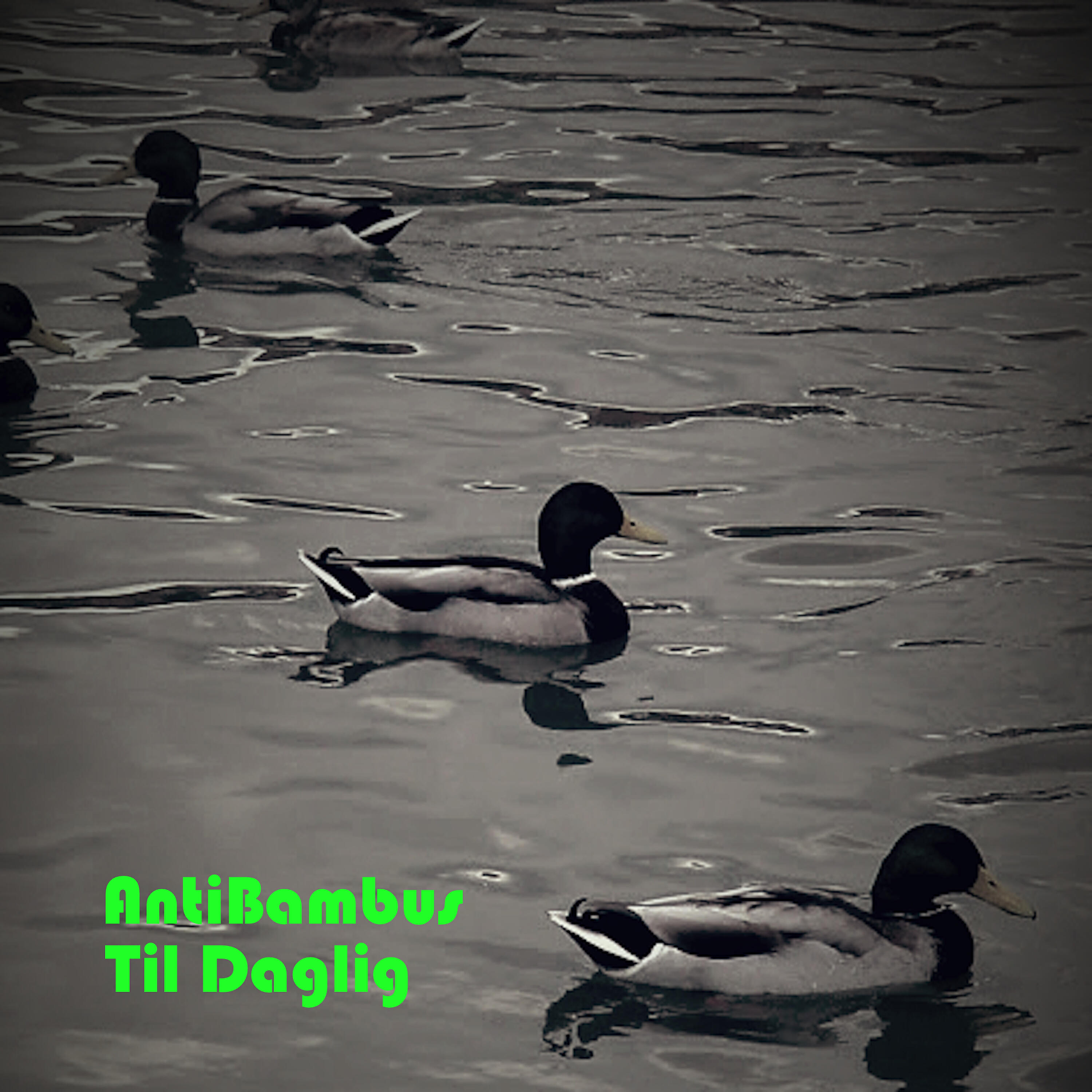 Релиз Til Daglig