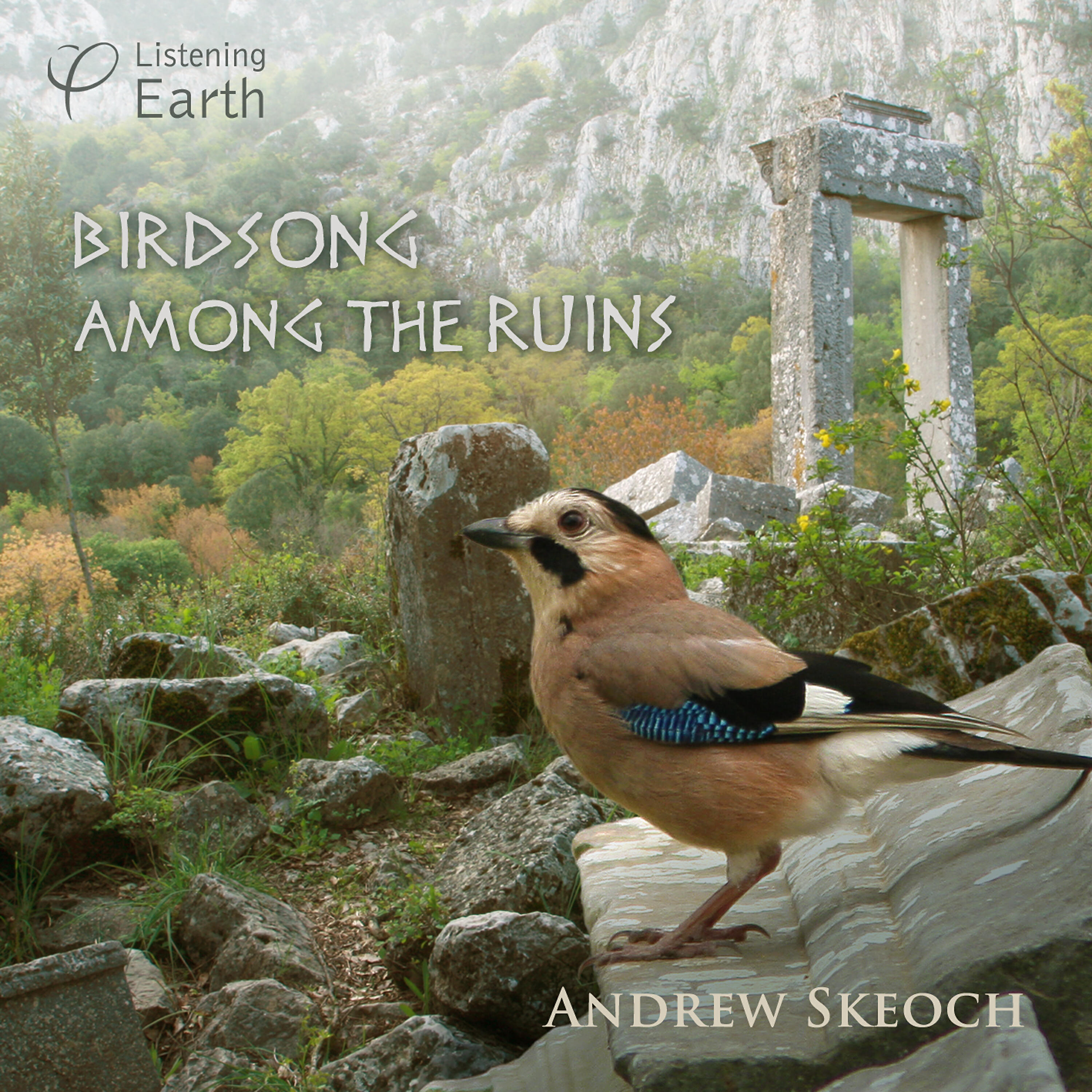 Релиз Birdsong Among the Ruins