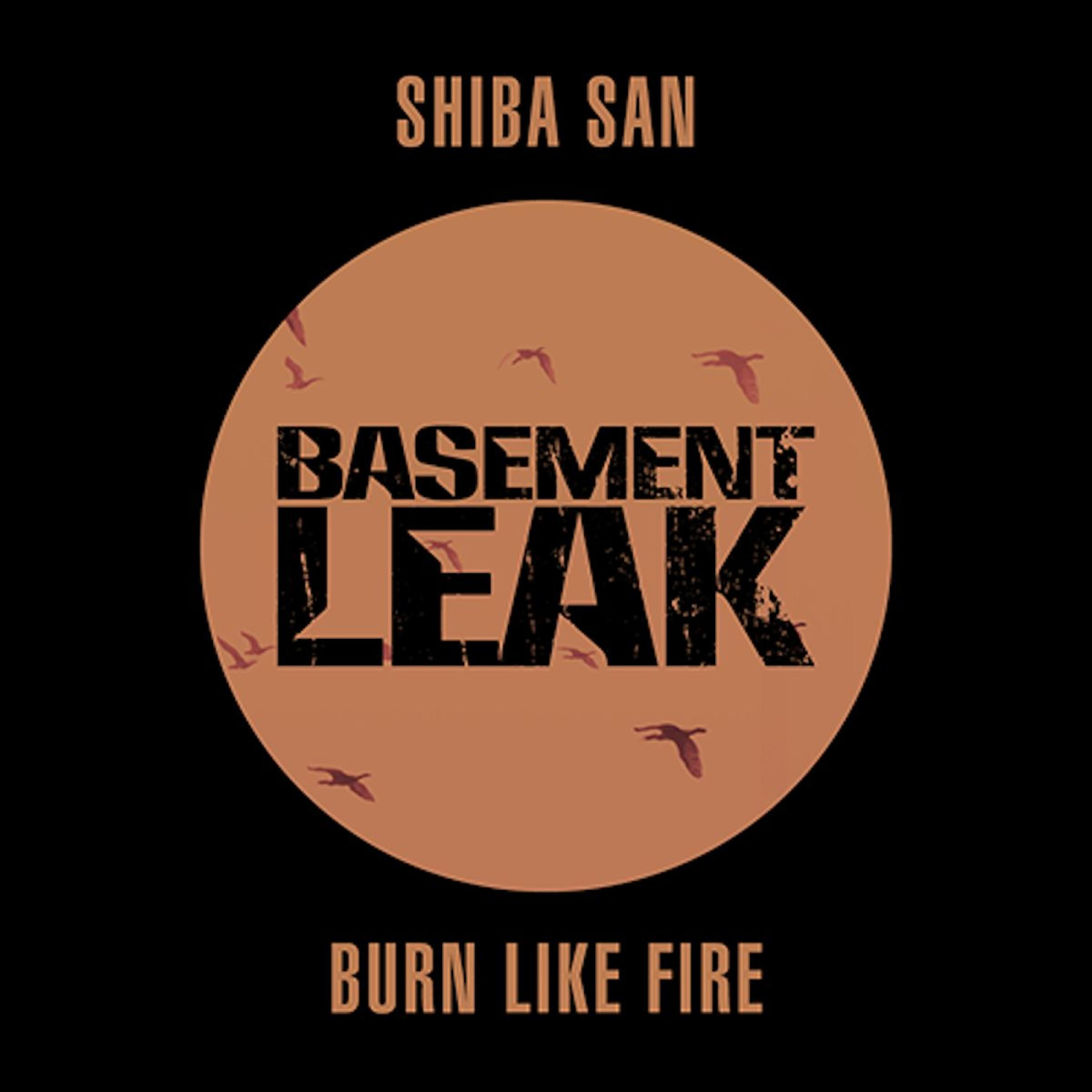 Релиз Burn Like Fire