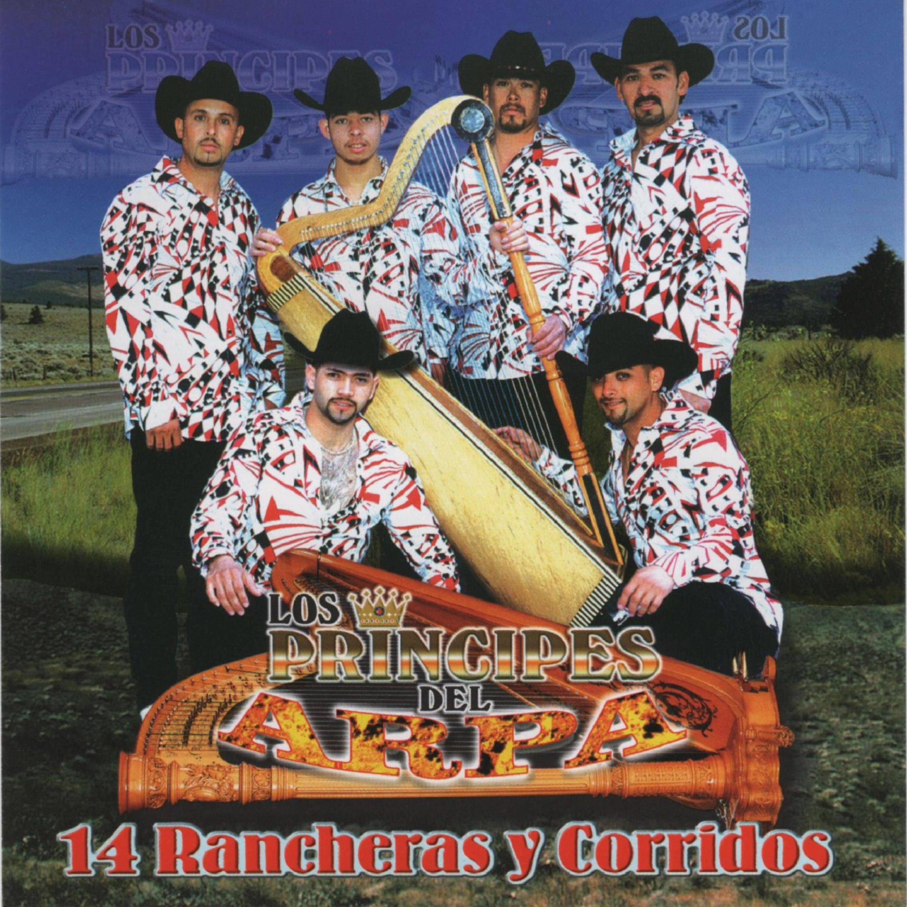 Релиз 14 Rancheras y Corridos