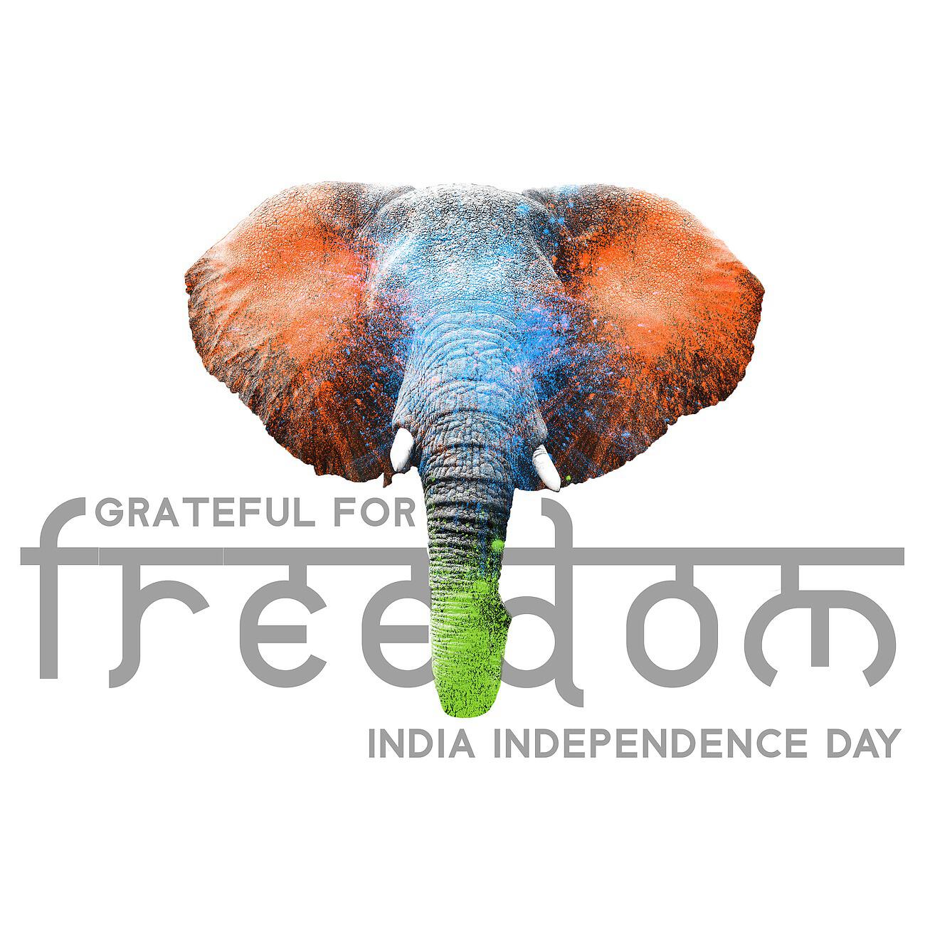 Релиз Grateful for Freedom