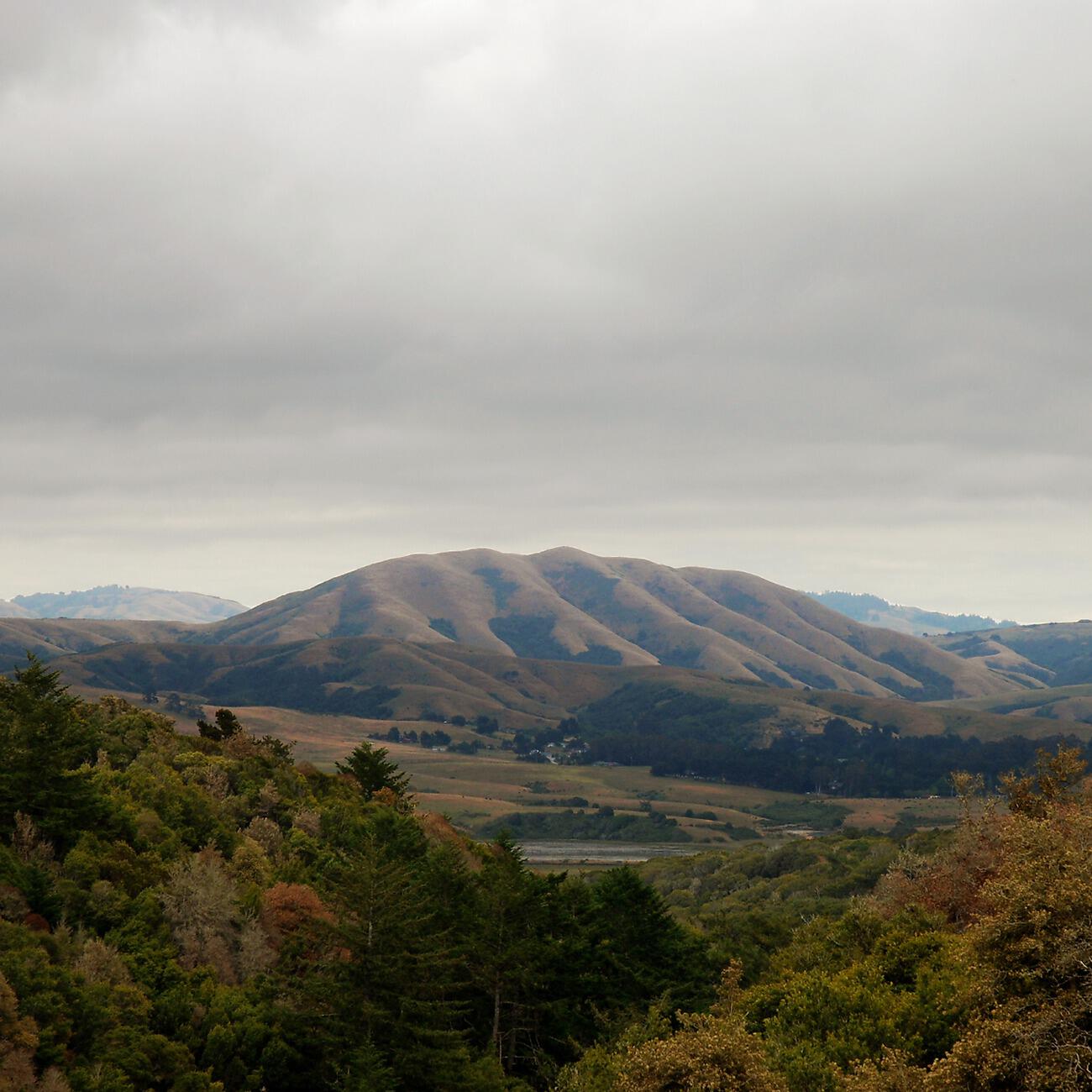 Релиз Mount Wittenberg Orca