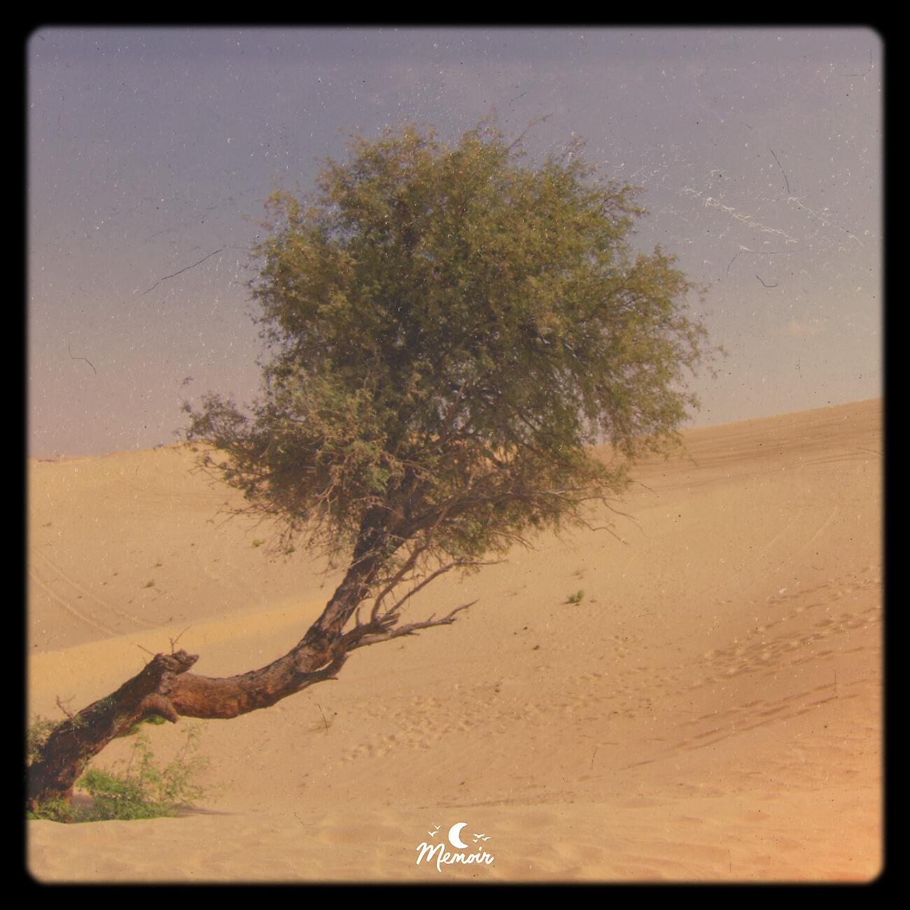 Релиз A Journey Home