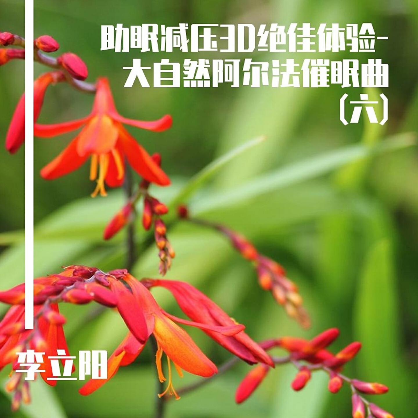 Релиз 助眠减压3D绝佳体验-大自然阿尔法催眠曲(六)
