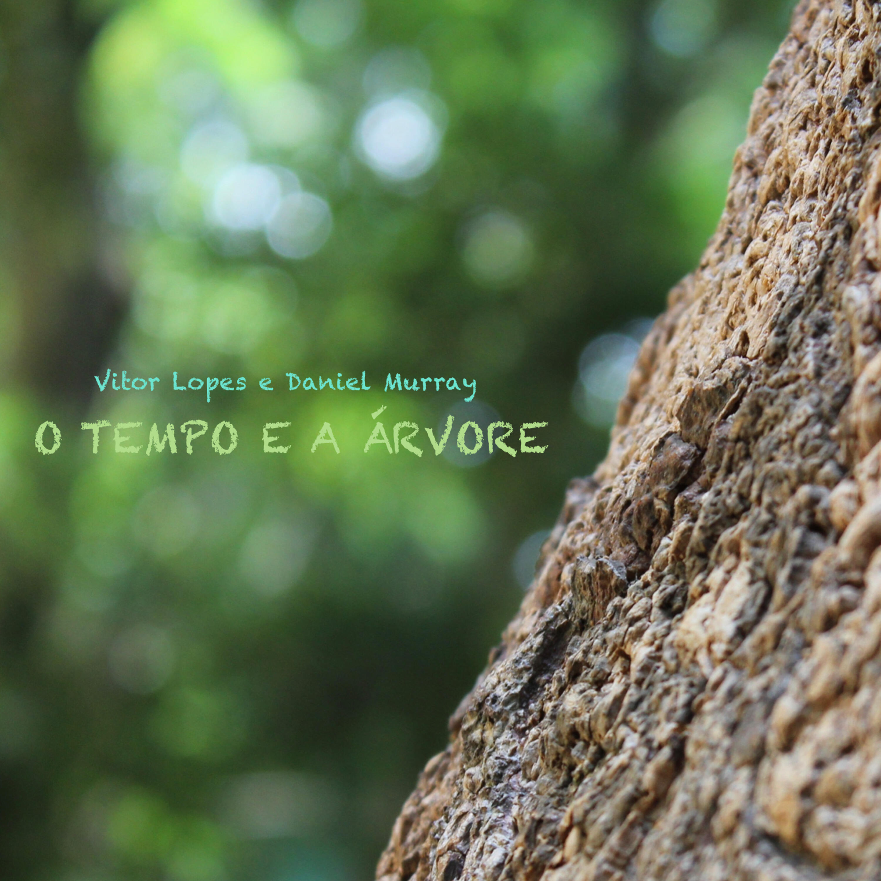 Vitor Lopes