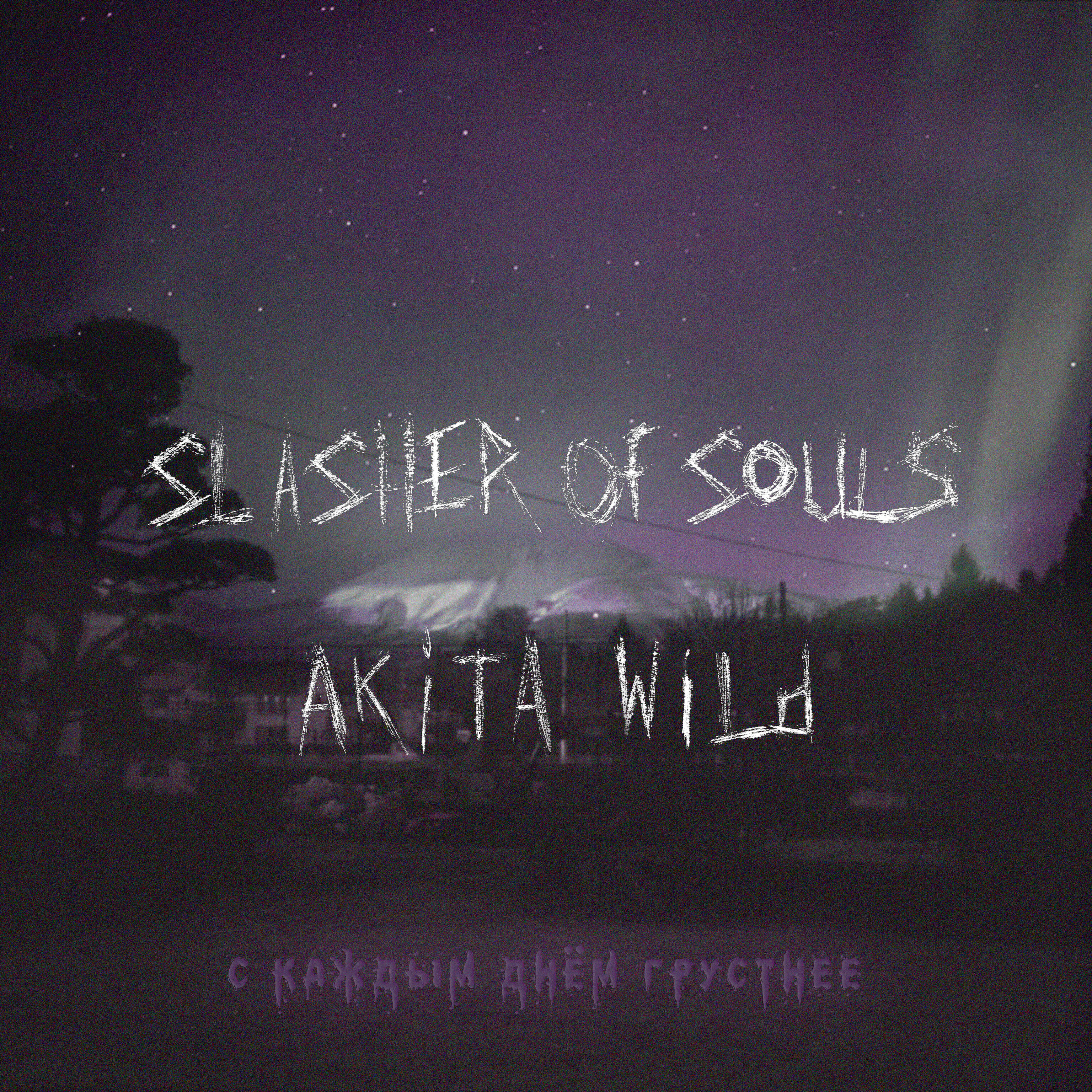 Akita Wild