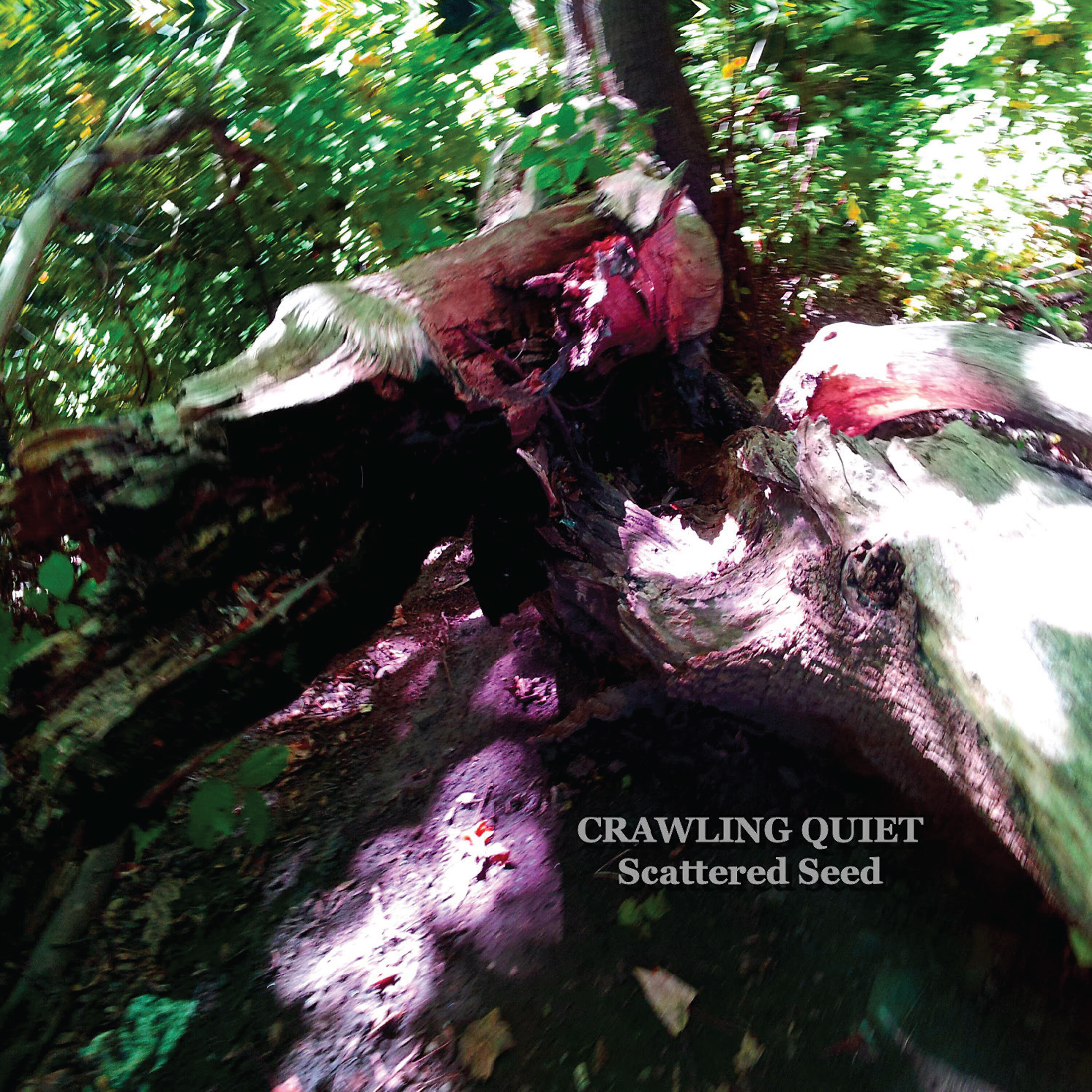 Релиз Scattered Seed