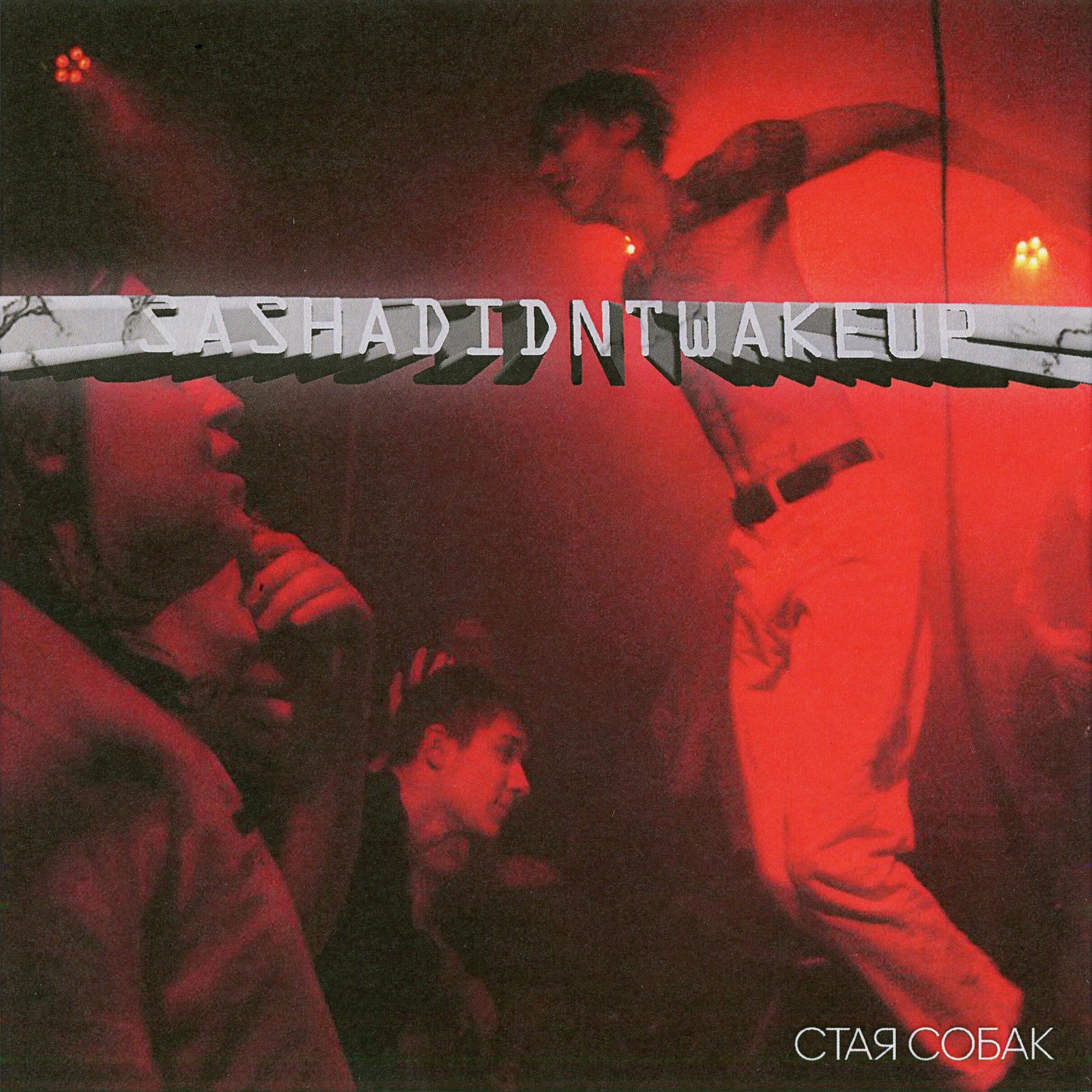 Релиз стая собак