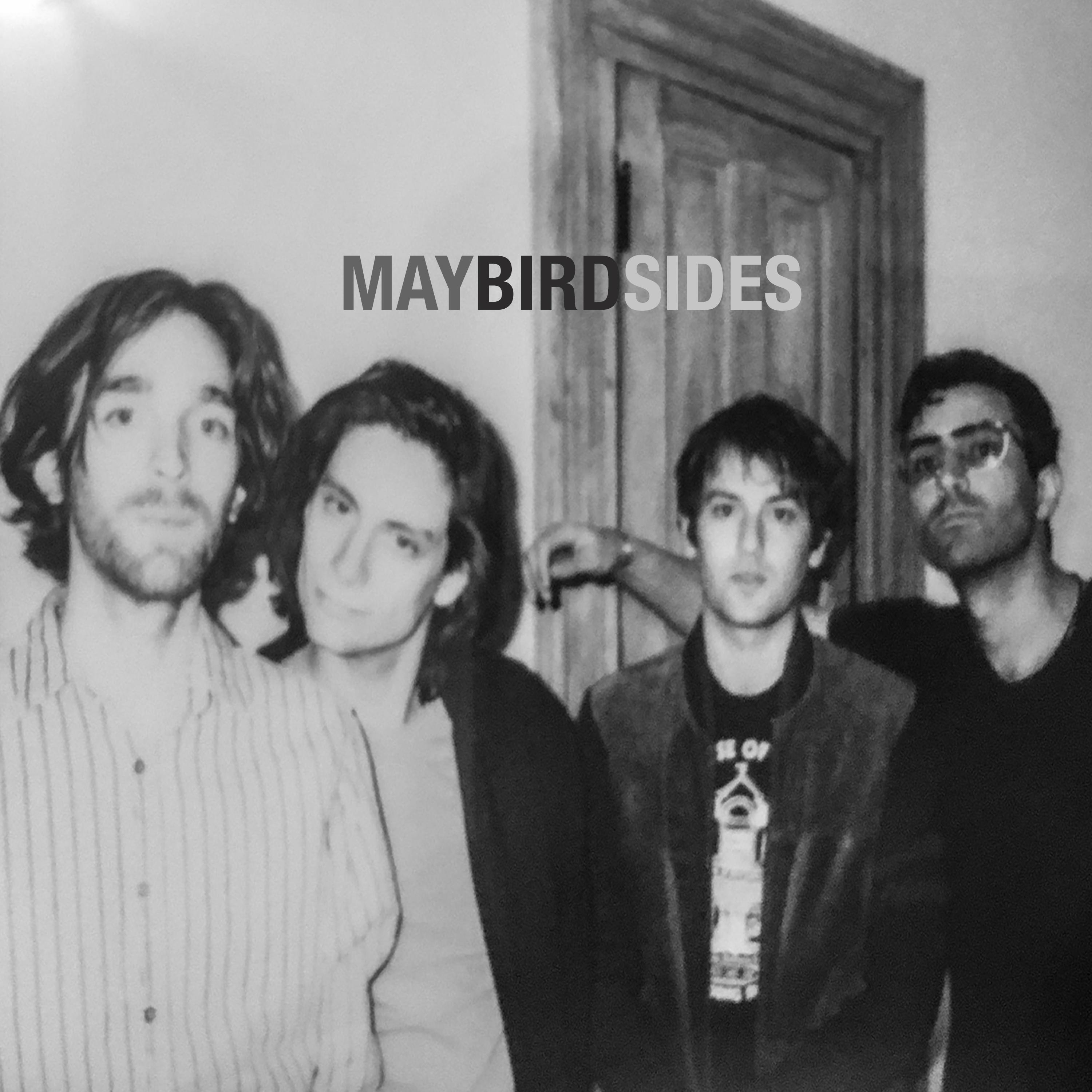 Релиз Bird Sides