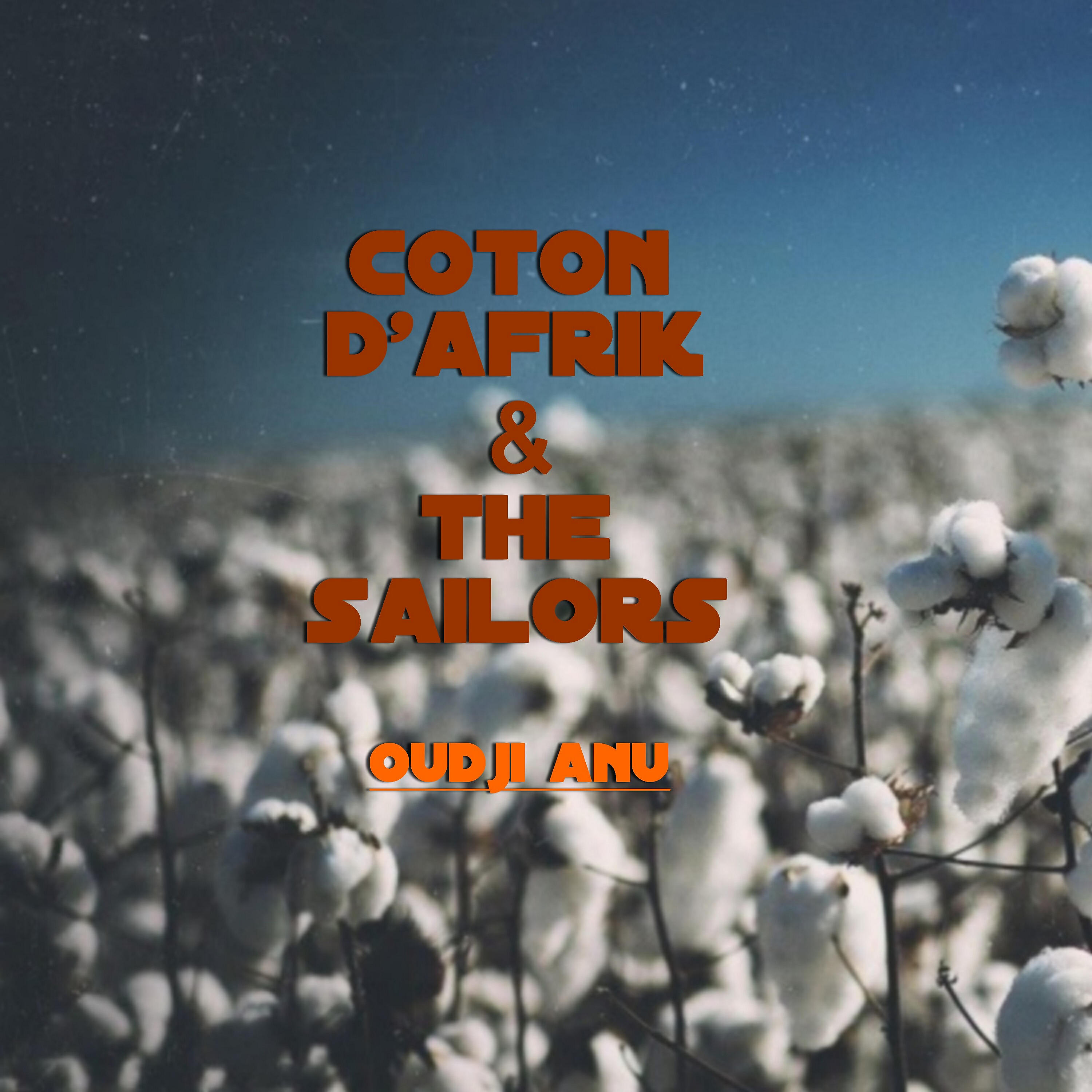 Coton d'Afrik