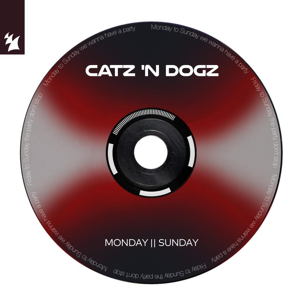 Релиз Monday || Sunday