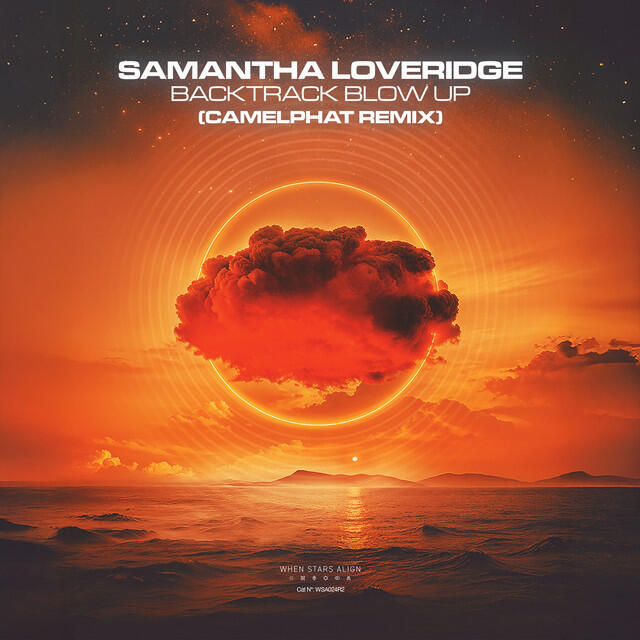 Постер альбома Backtrack Blow Up (CamelPhat Remix)