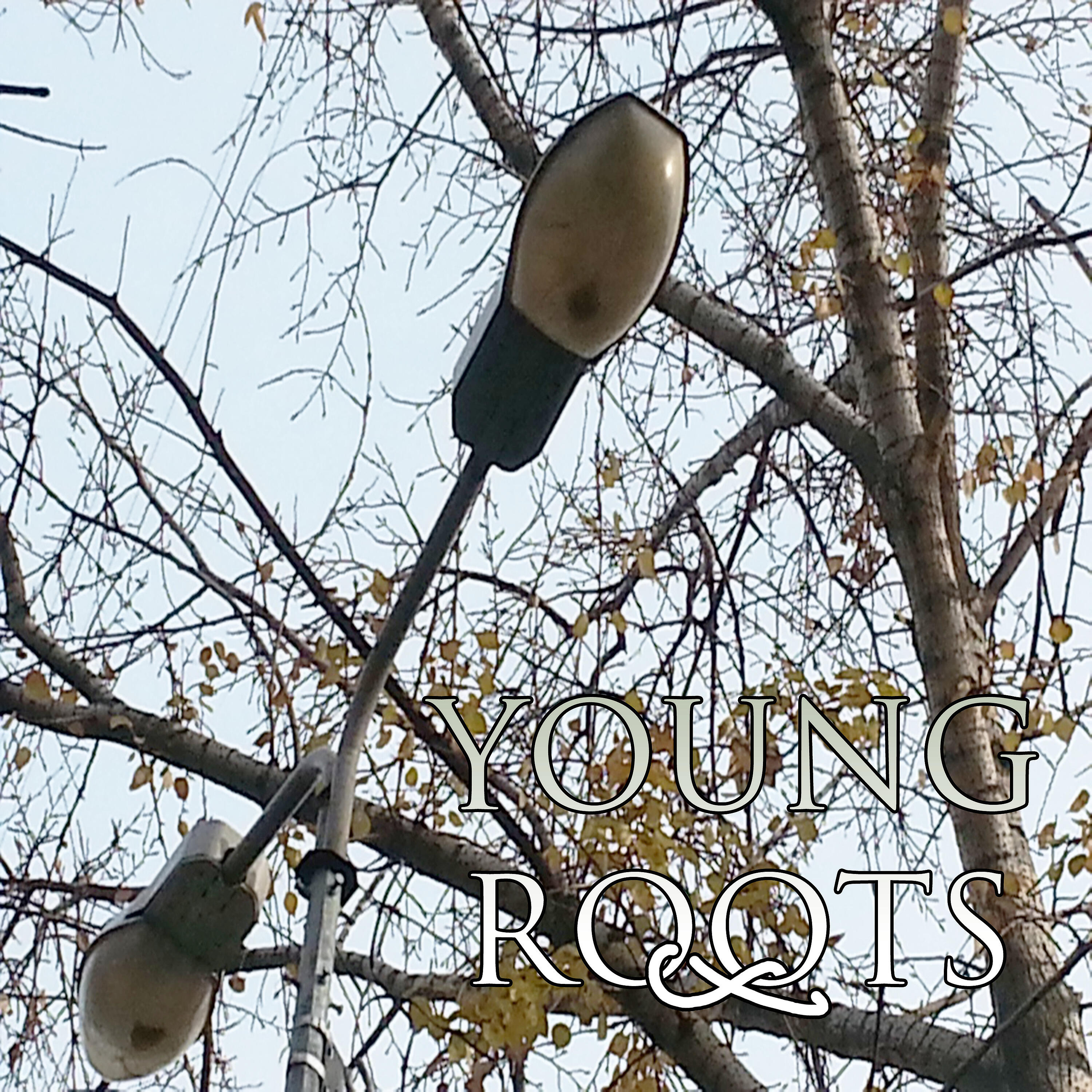 Релиз Youngroots