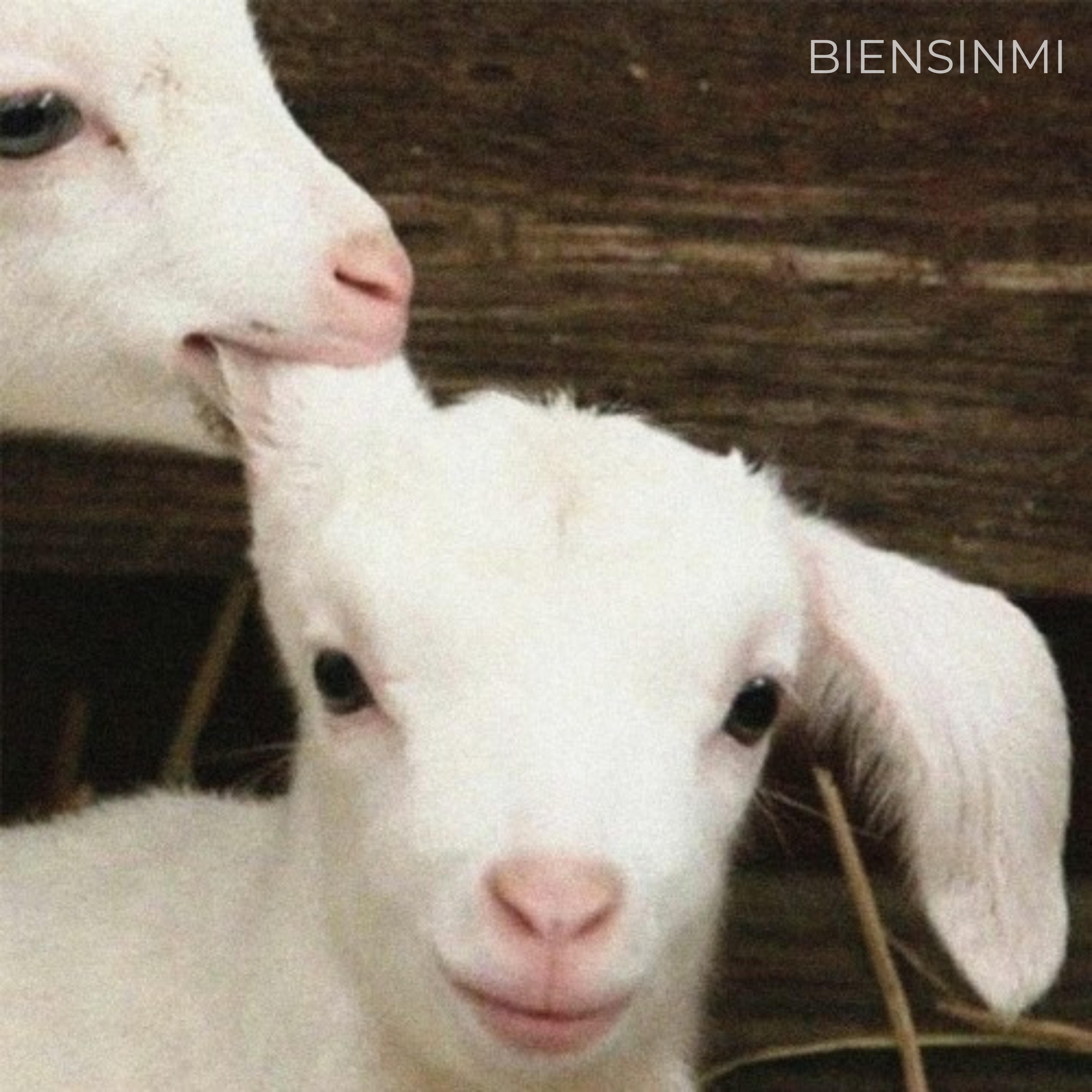 Релиз Biensinmi