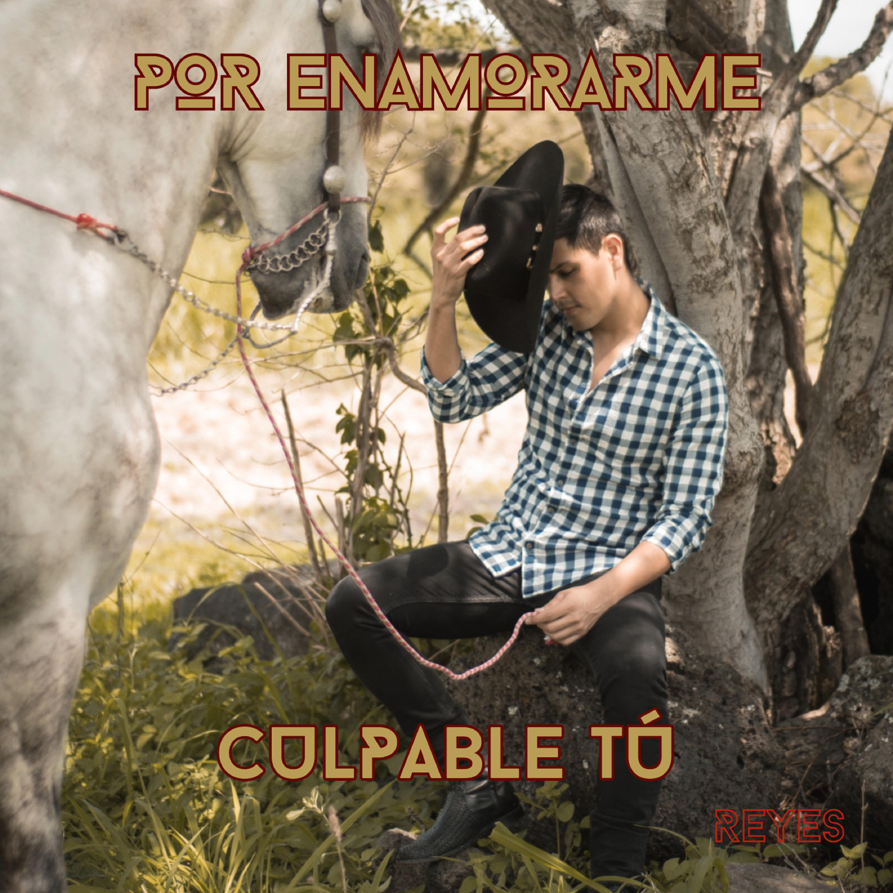 Релиз Por Enamorarme / Culpable Tu
