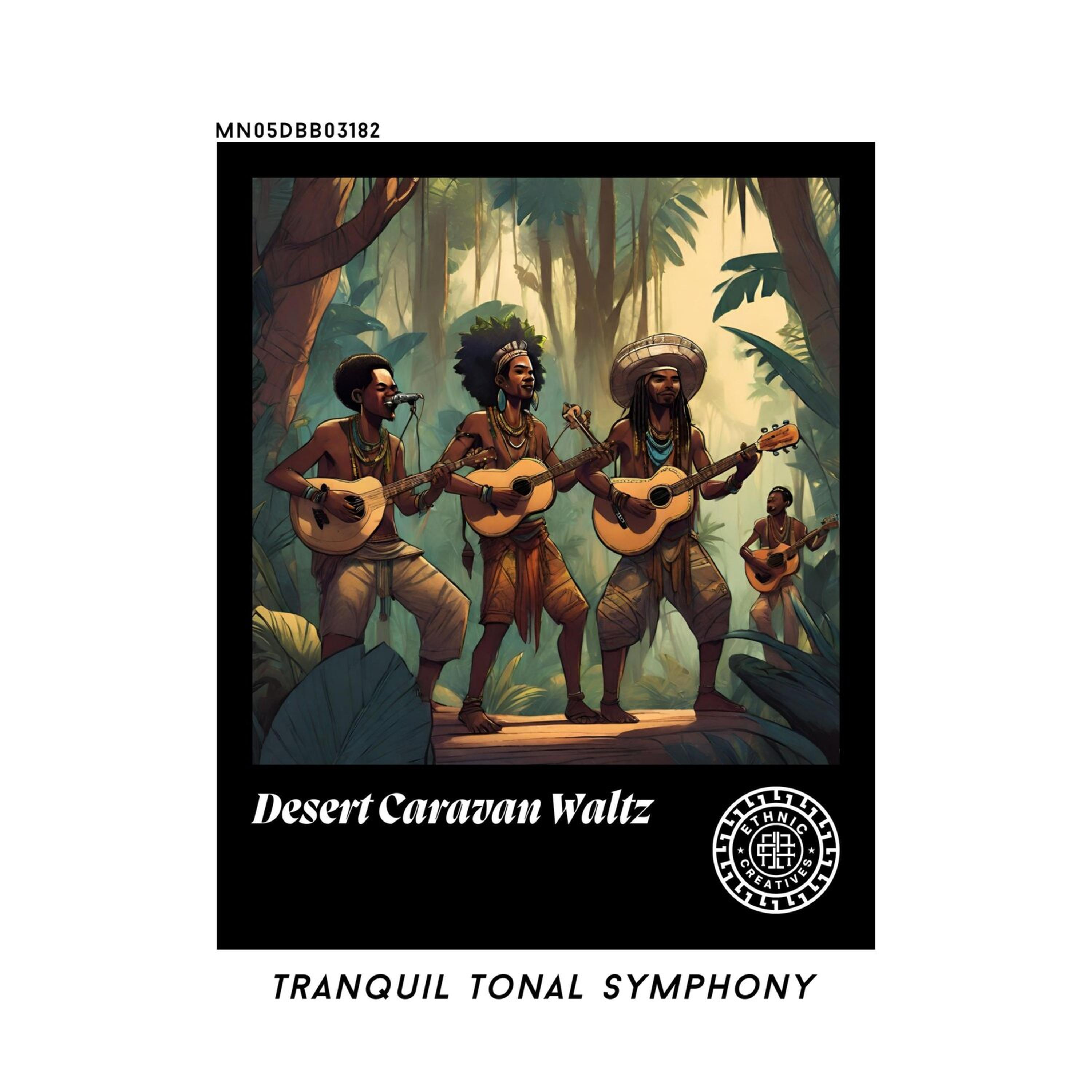Релиз Desert Caravan Waltz: Tranquil Tonal Symphony