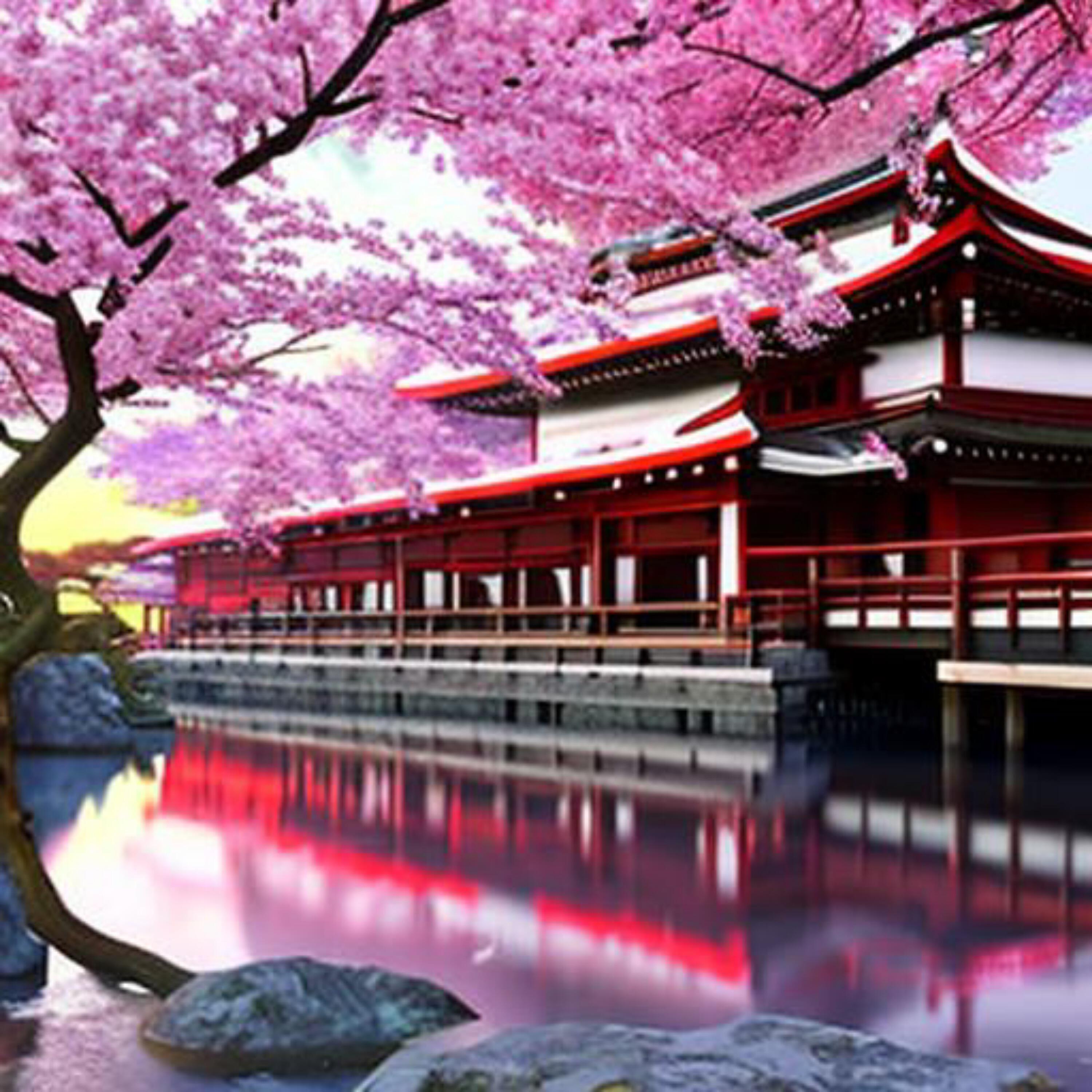 Релиз Japan