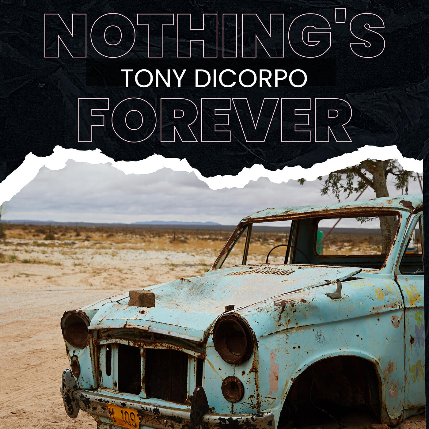 Tony DiCorpo