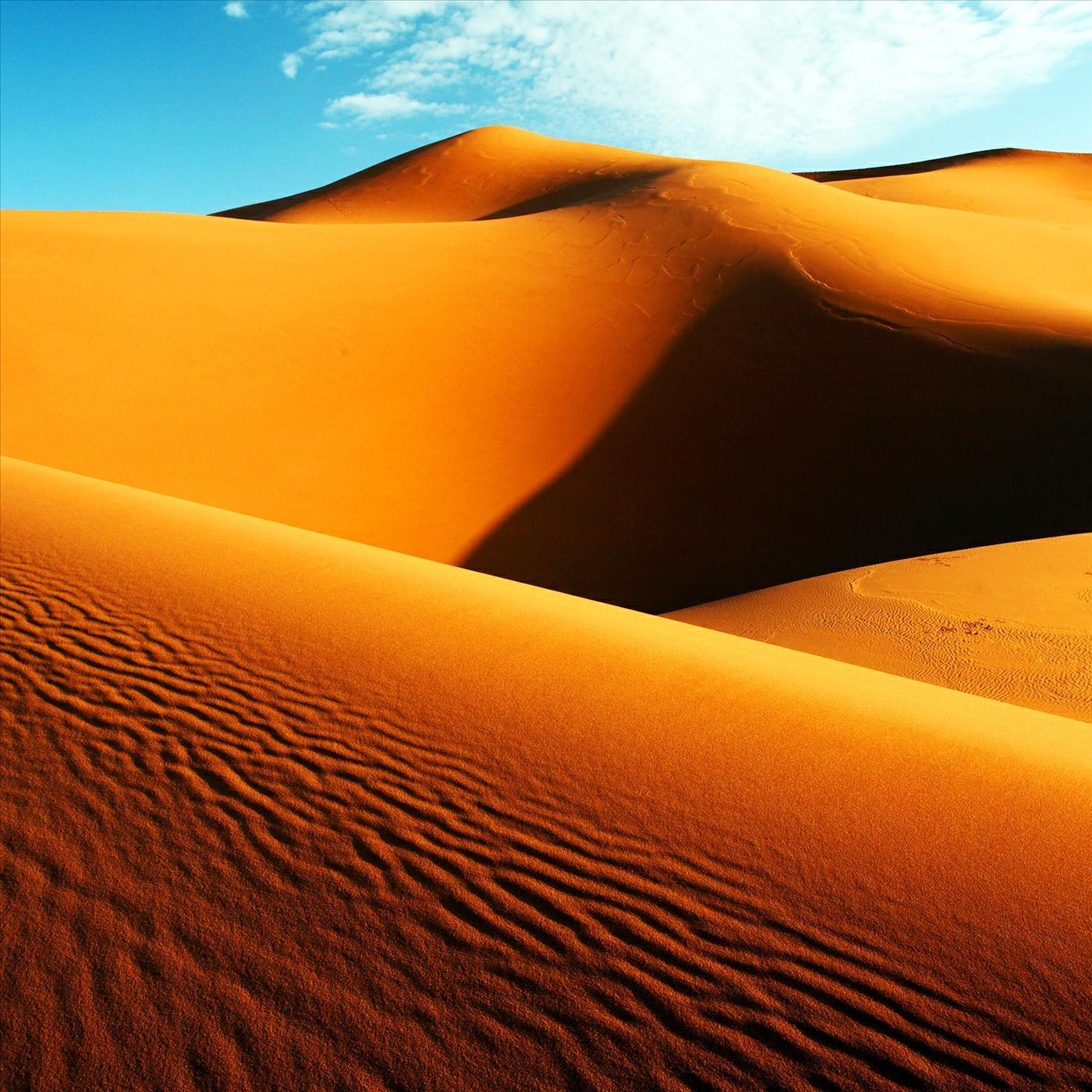 Релиз Desert M
