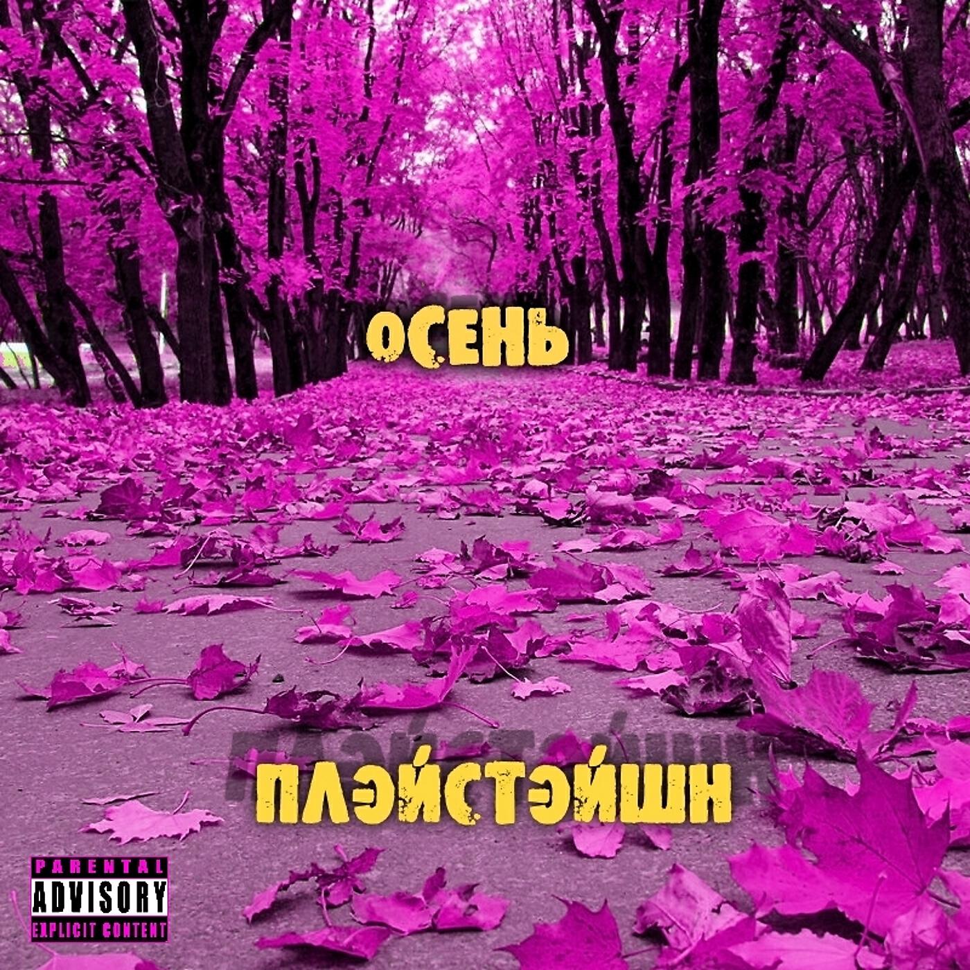 Плэйстэйшн