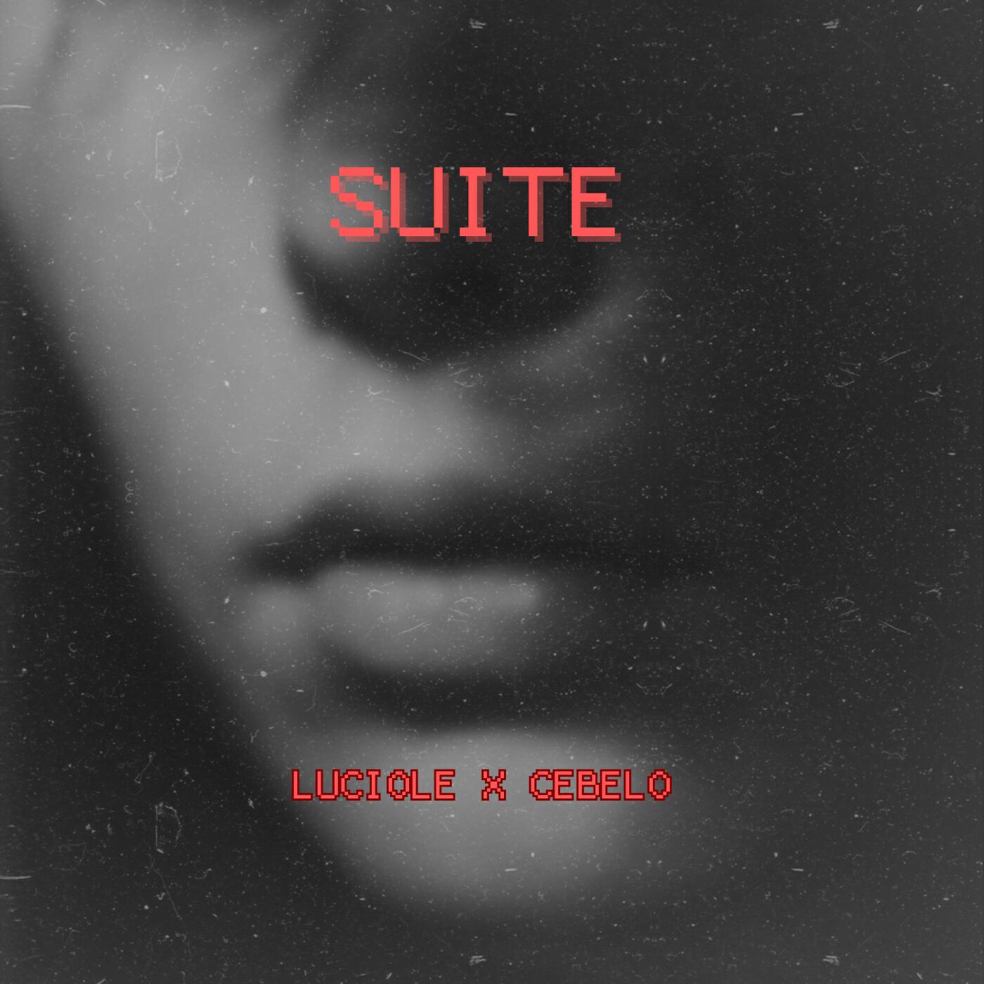 Релиз Suite