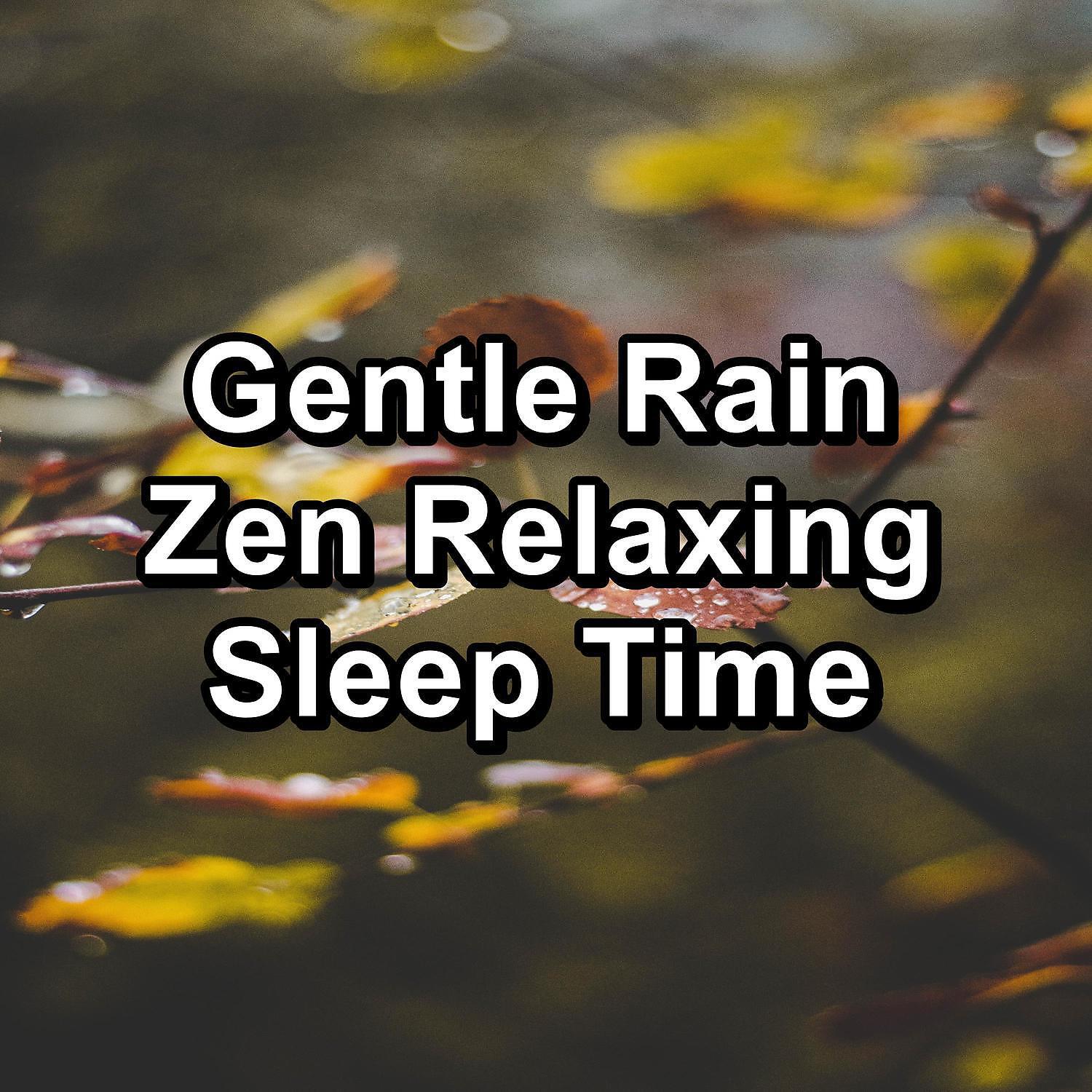 Релиз Gentle Rain Zen Relaxing Sleep Time
