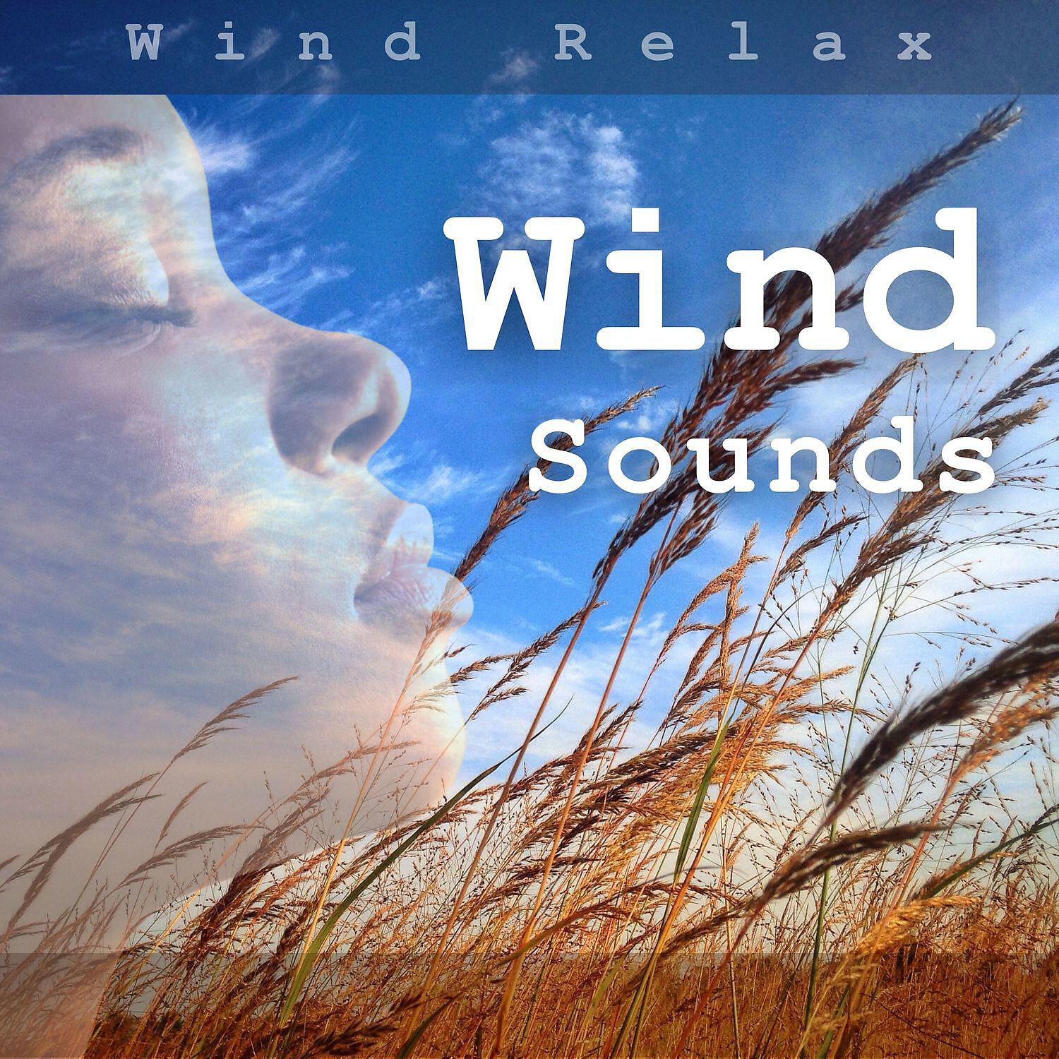Релиз Wind Sounds