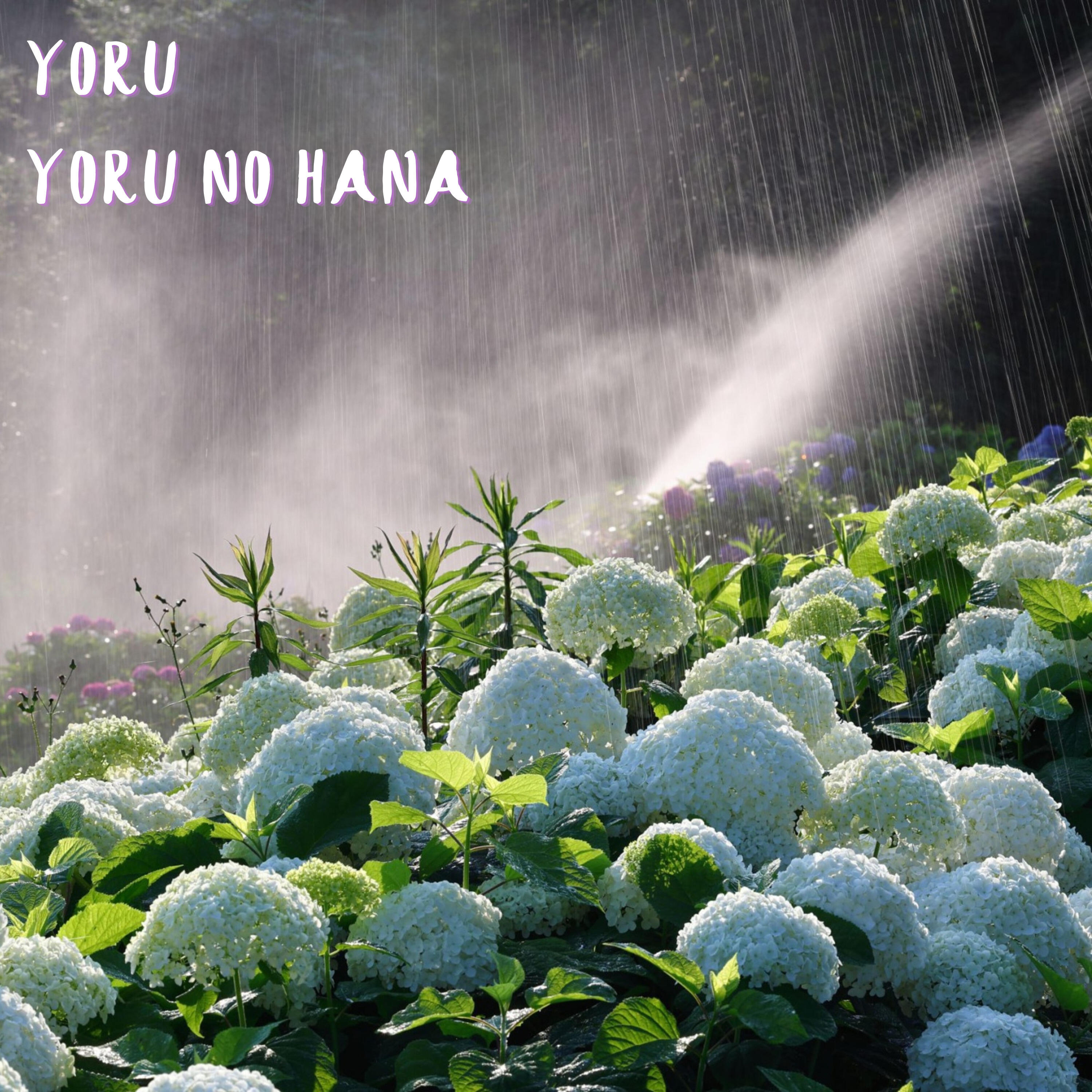 Релиз Yoru No Hana