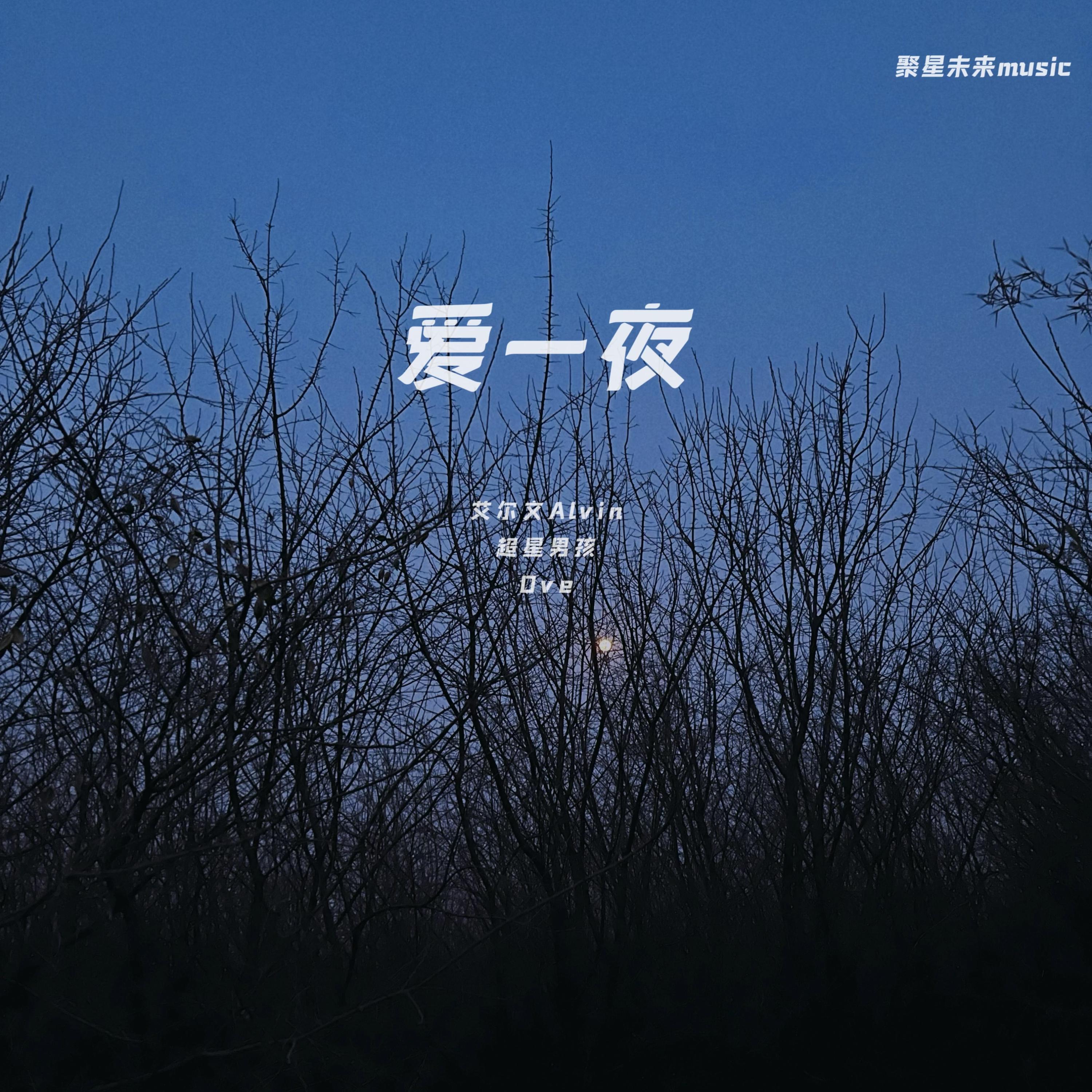 Релиз 爱一夜