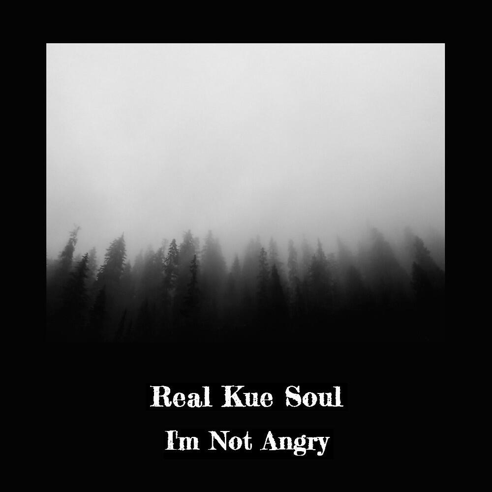 Релиз I'm Not Angry