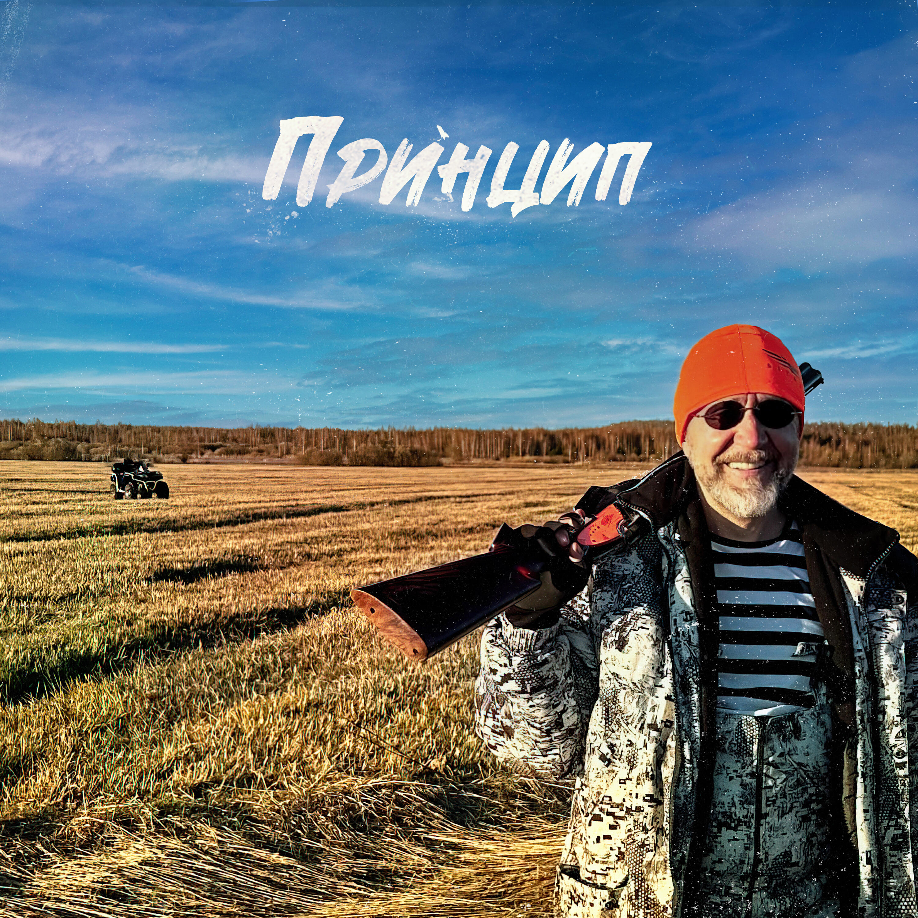 Релиз Принцип