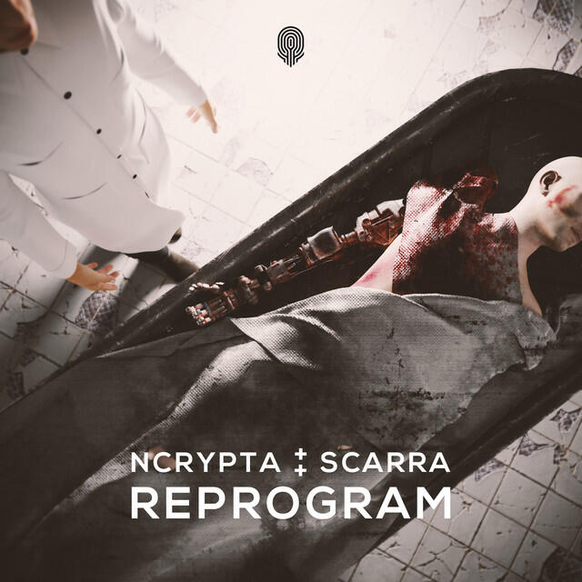 Релиз Reprogram