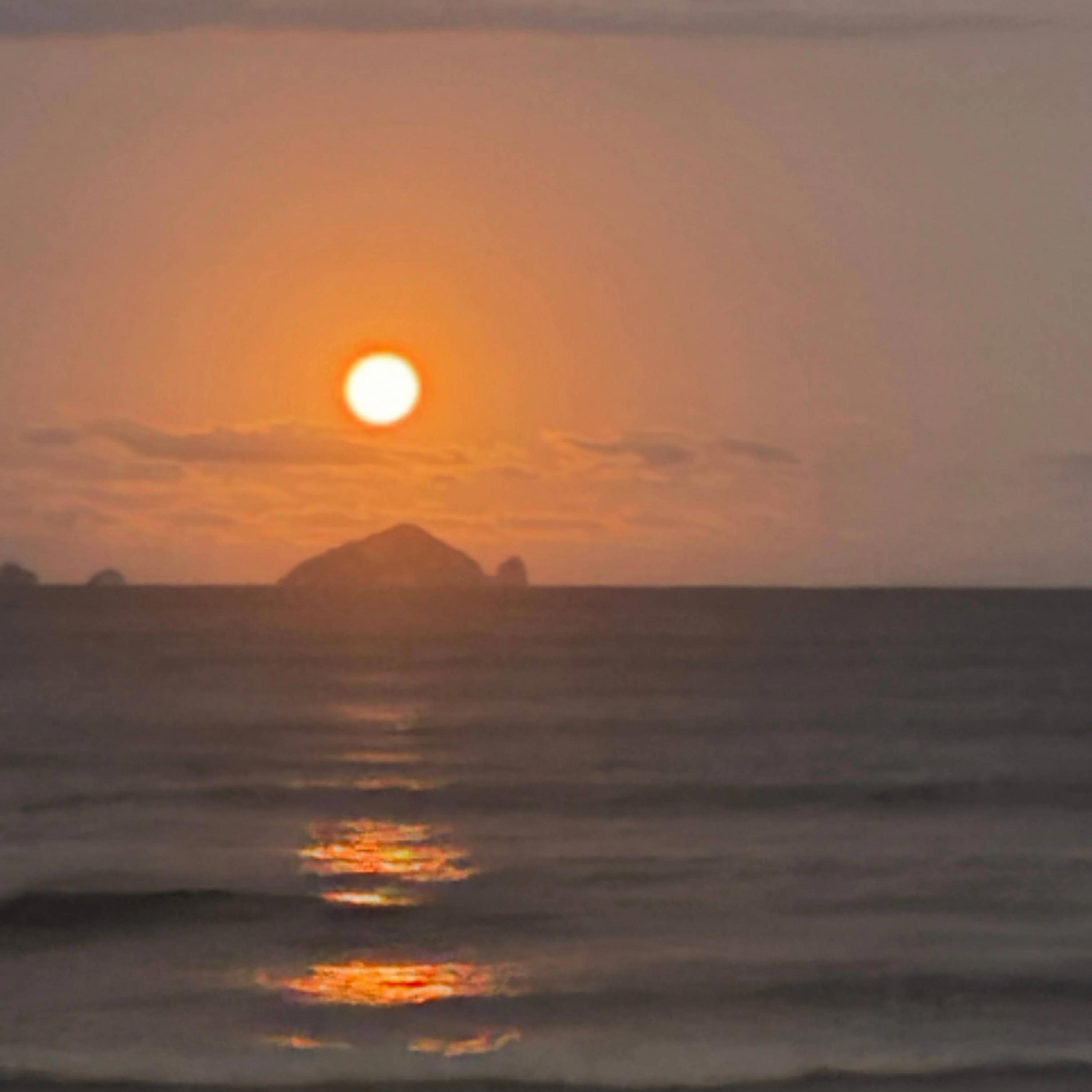 Трек New Zealand Coromandel Gentle stream and crickets relax and sleep sounds