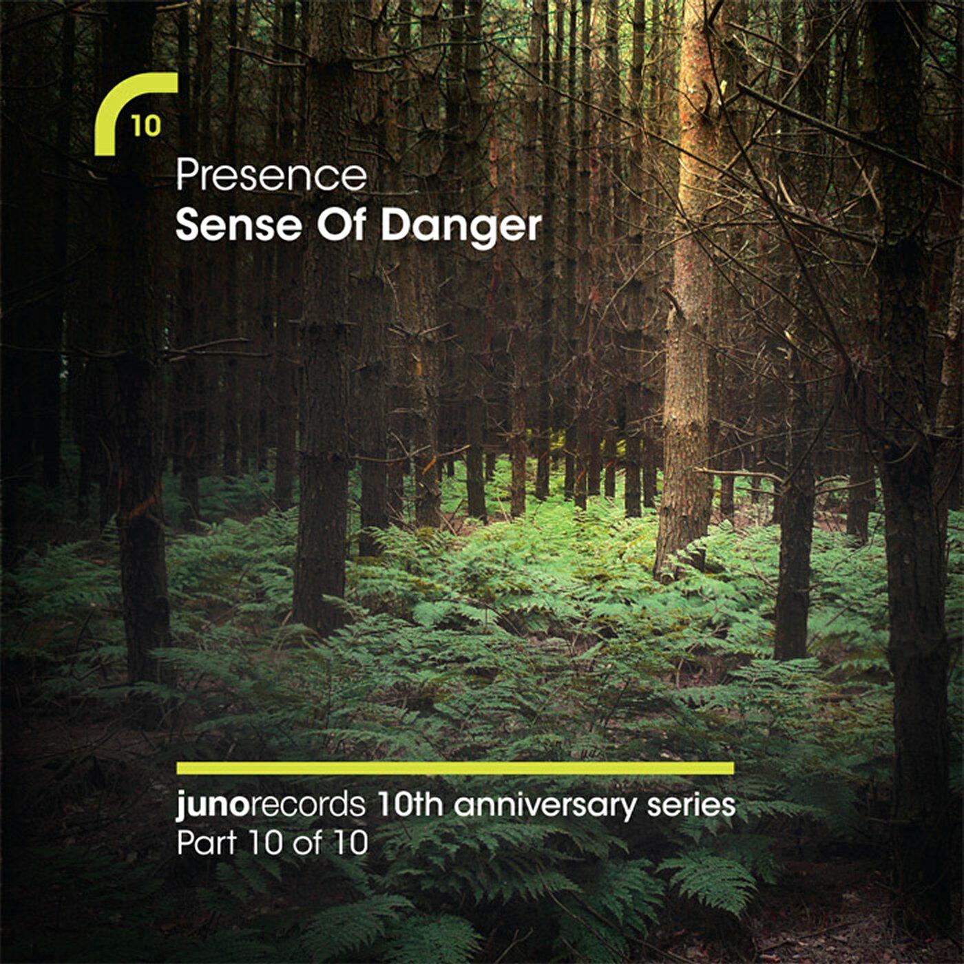 Релиз Sense Of Danger (Remixes)