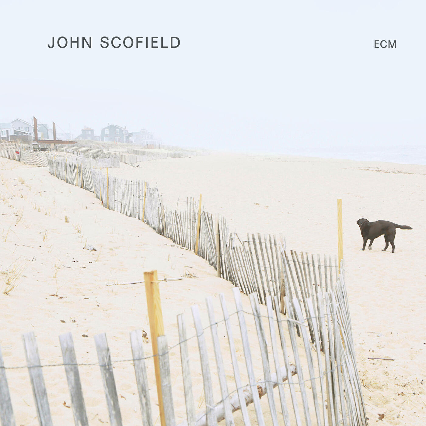 Релиз John Scofield