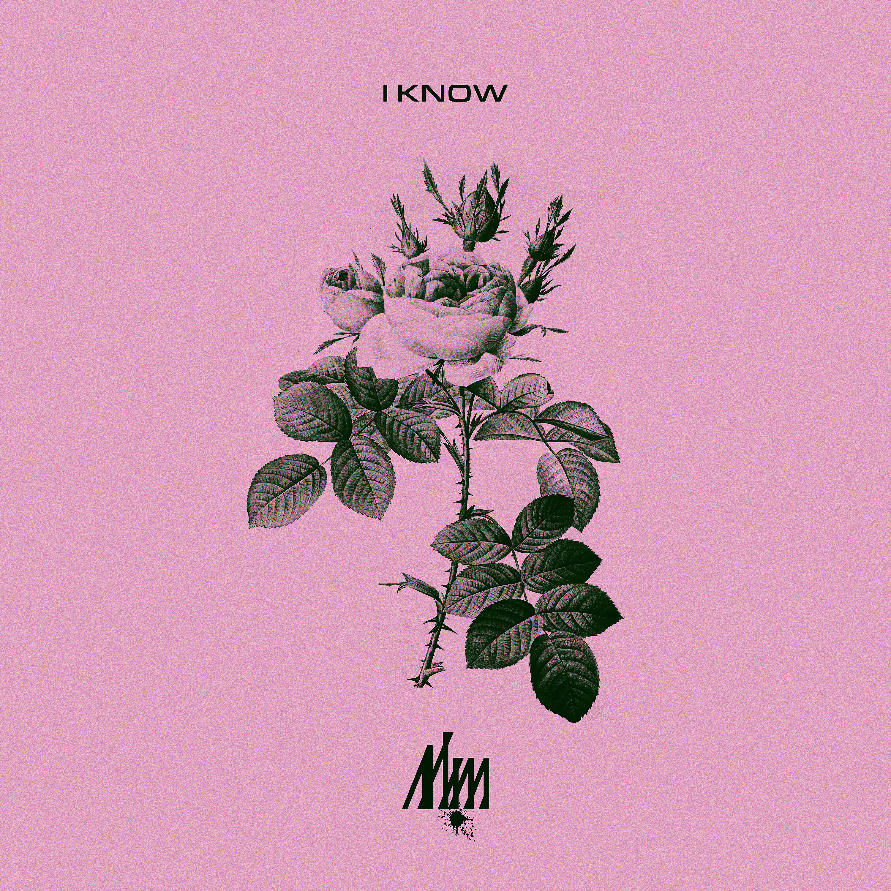 Релиз I Know