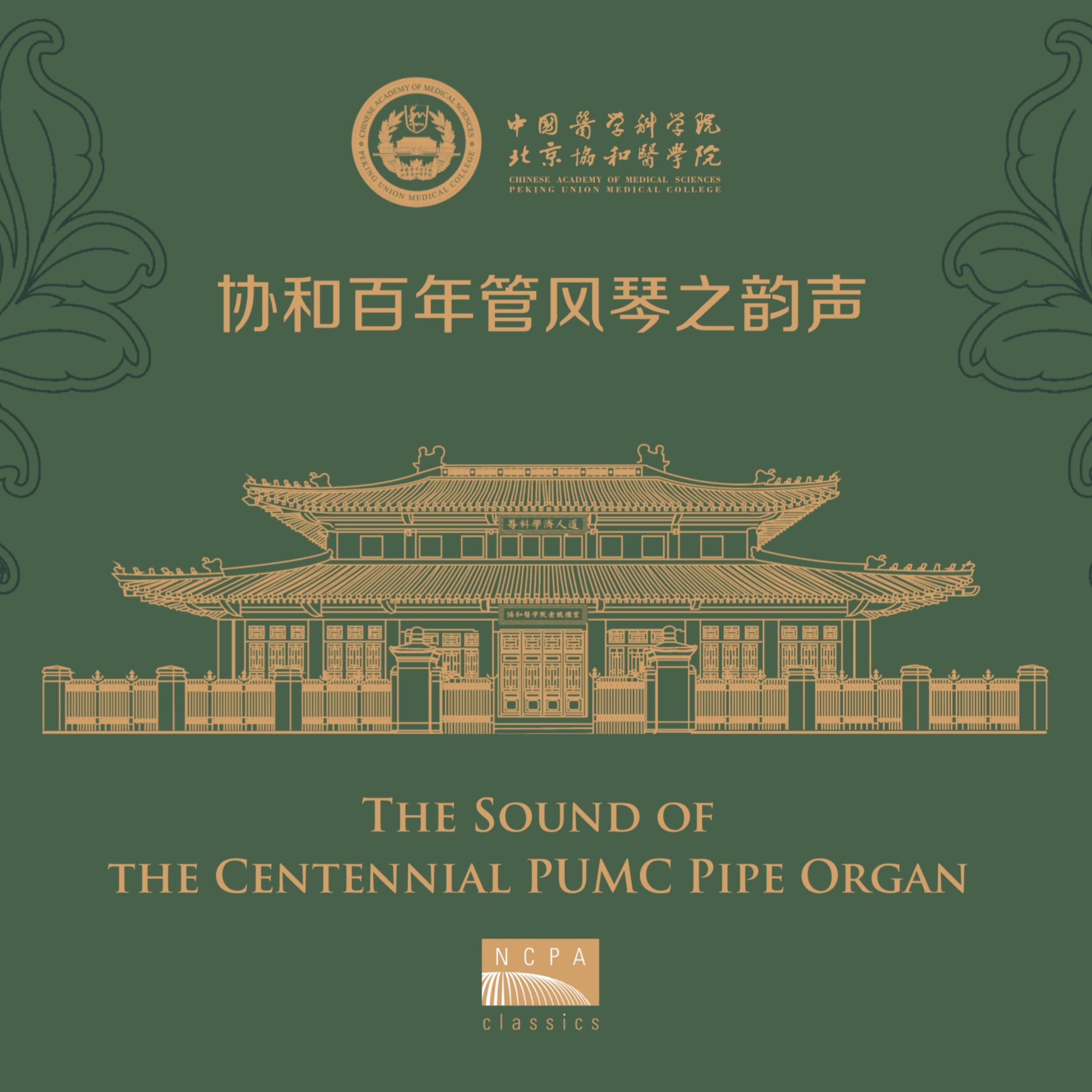沈媛