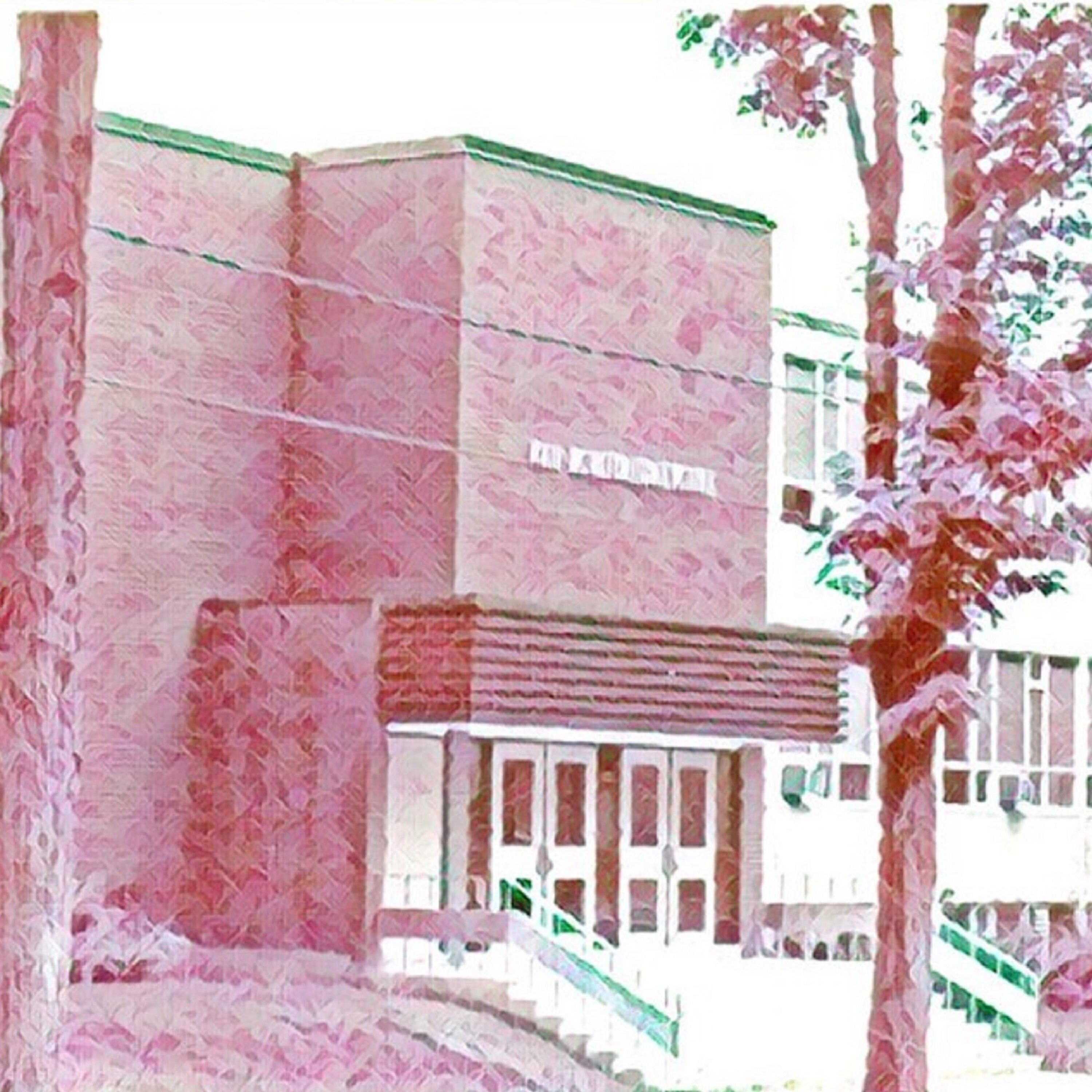 Релиз High School Days