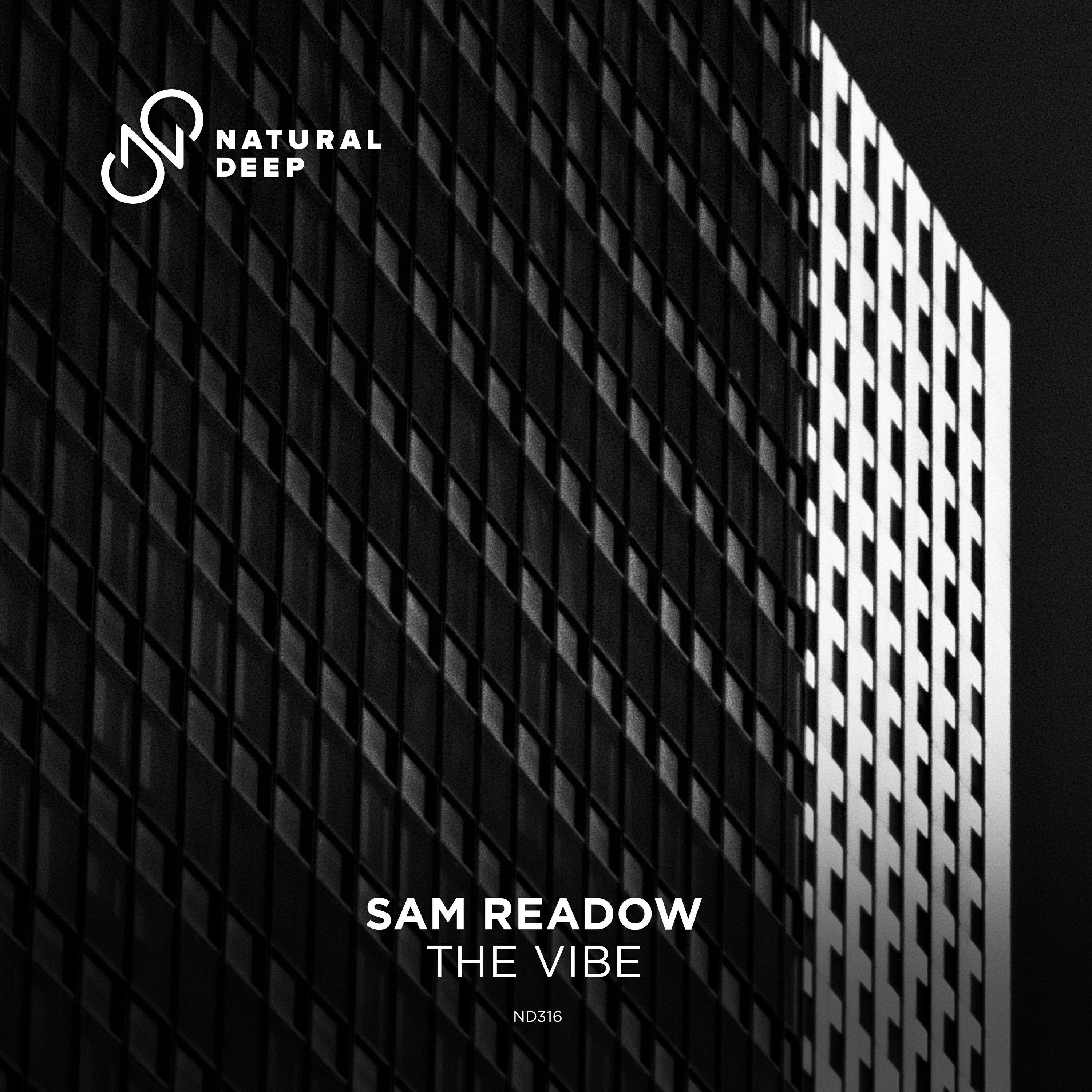 Релиз The Vibe