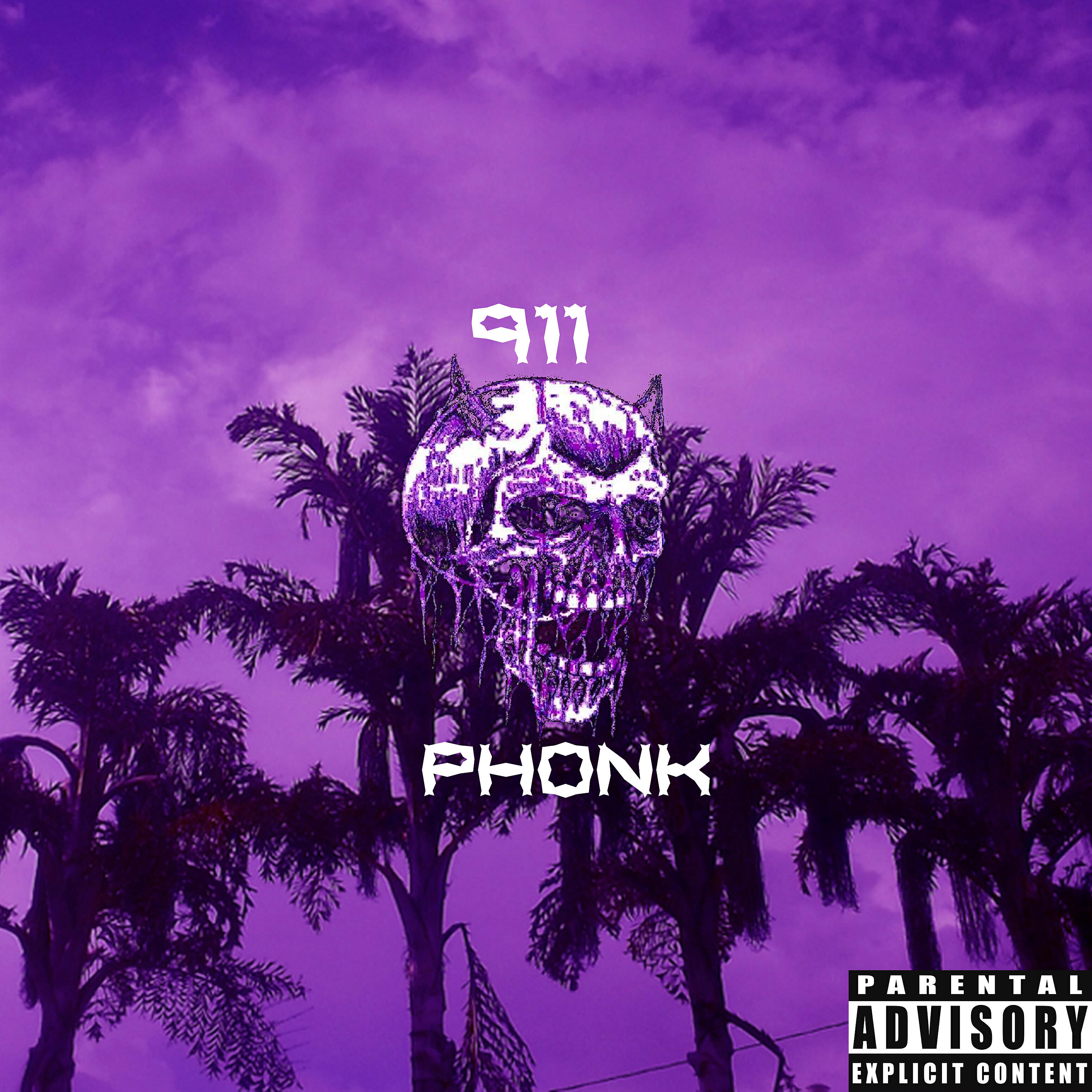 Постер альбома Phonk