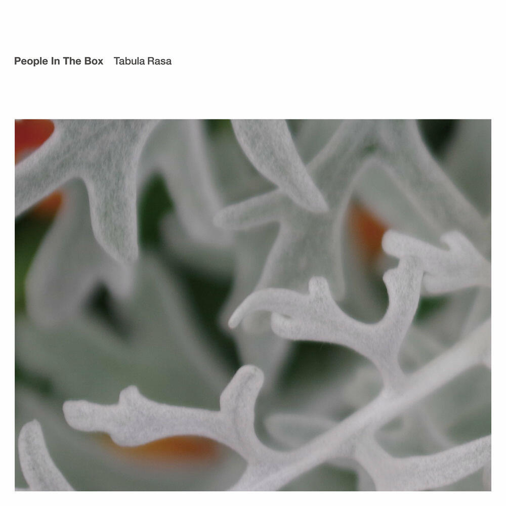 Релиз Tabula Rasa