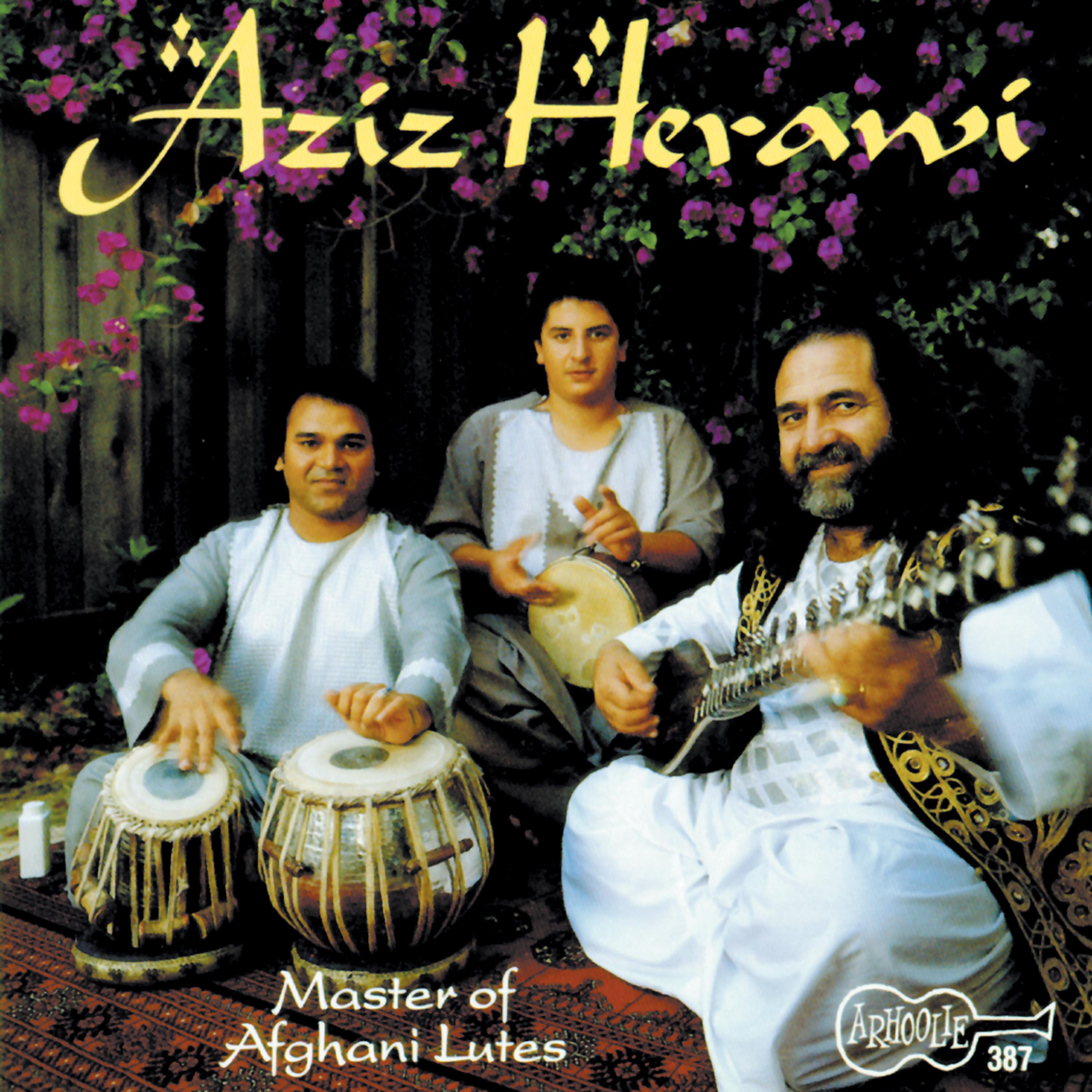 Релиз Master of Afghani Lutes